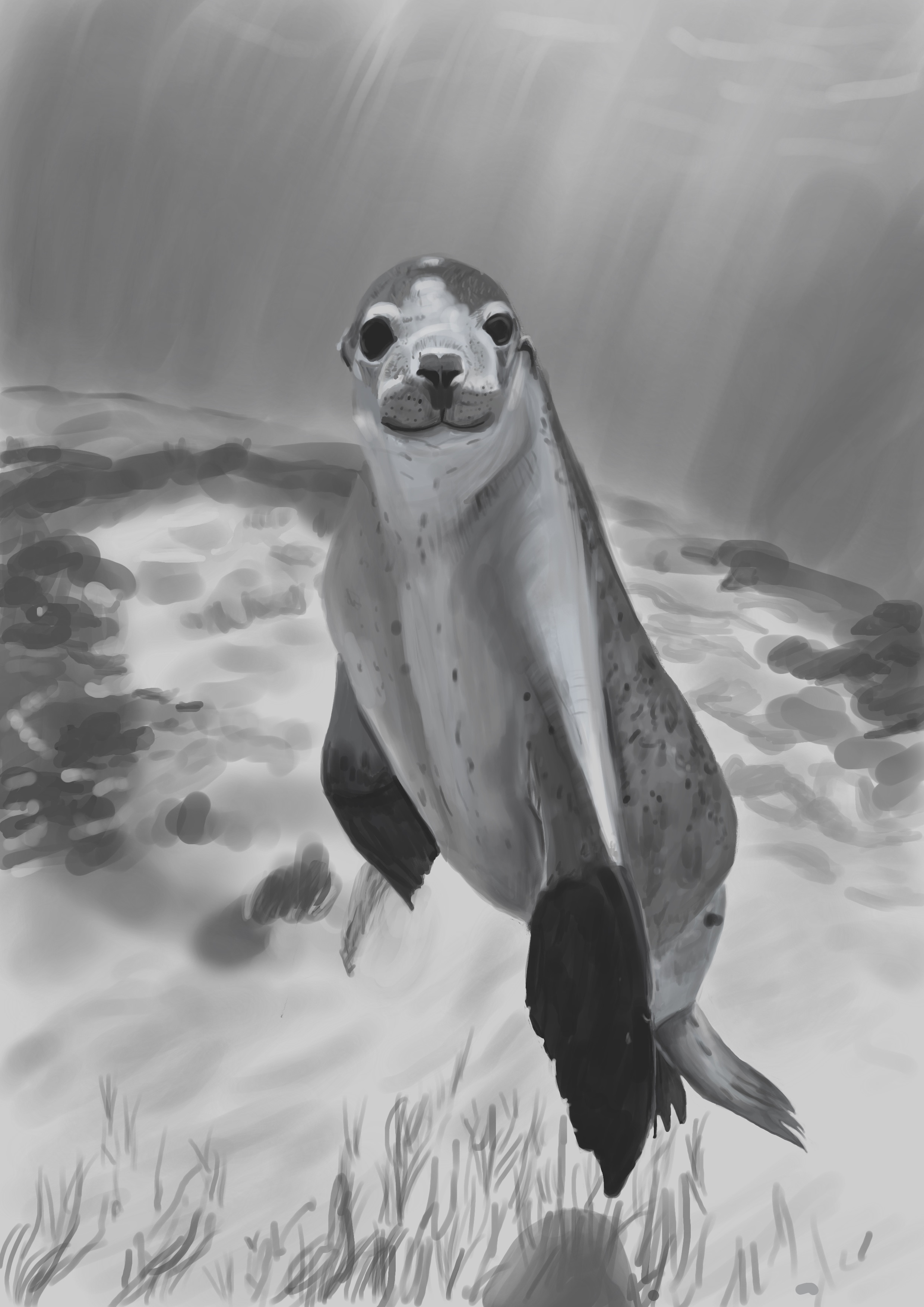 Étude d une photo: en noir et blanc par kasmp