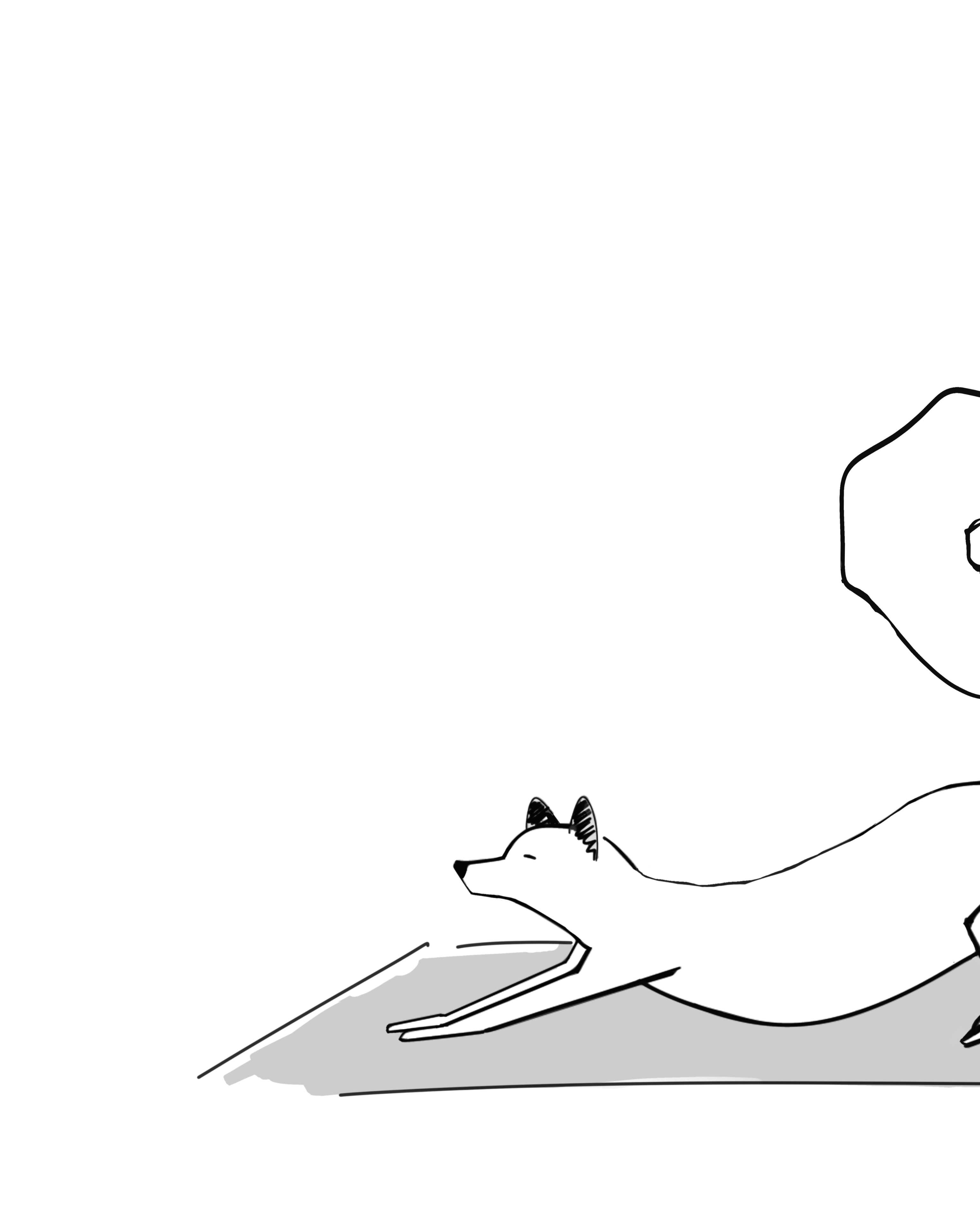 Soirée yoga par Flo