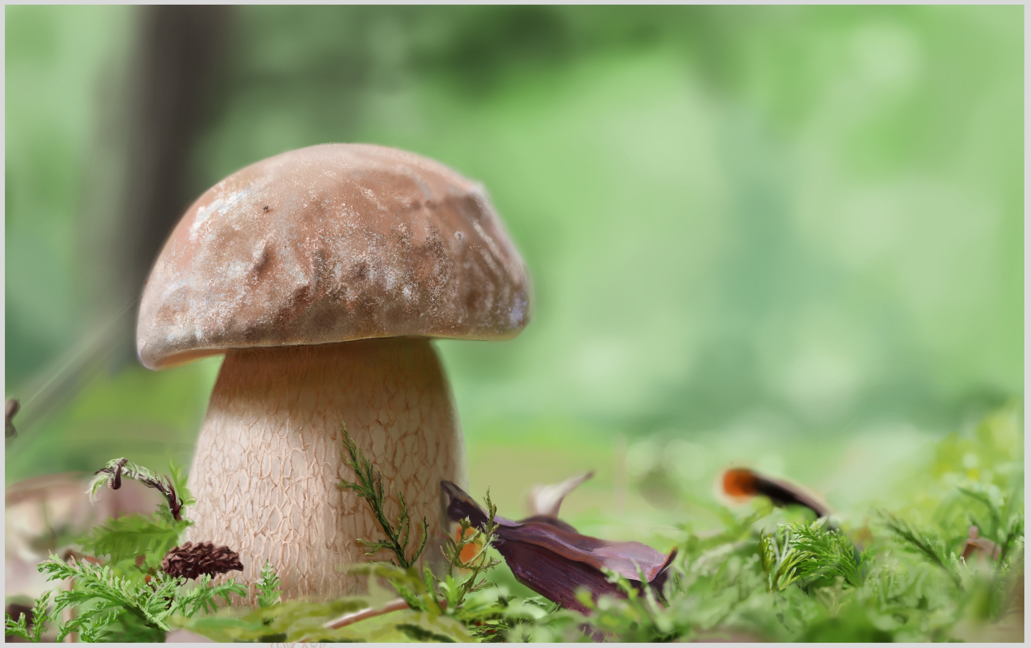 Photoréalisme - PI 1 chap.9 par Patience