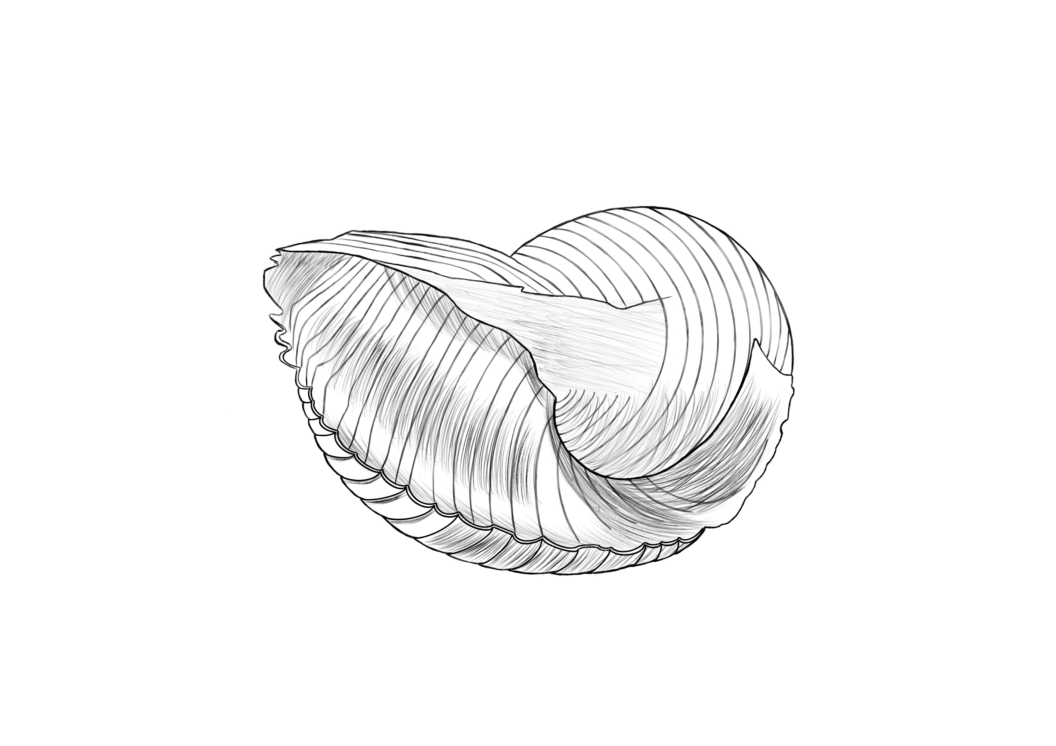 Suivi du programme indispensable 💪🏾 par Anax