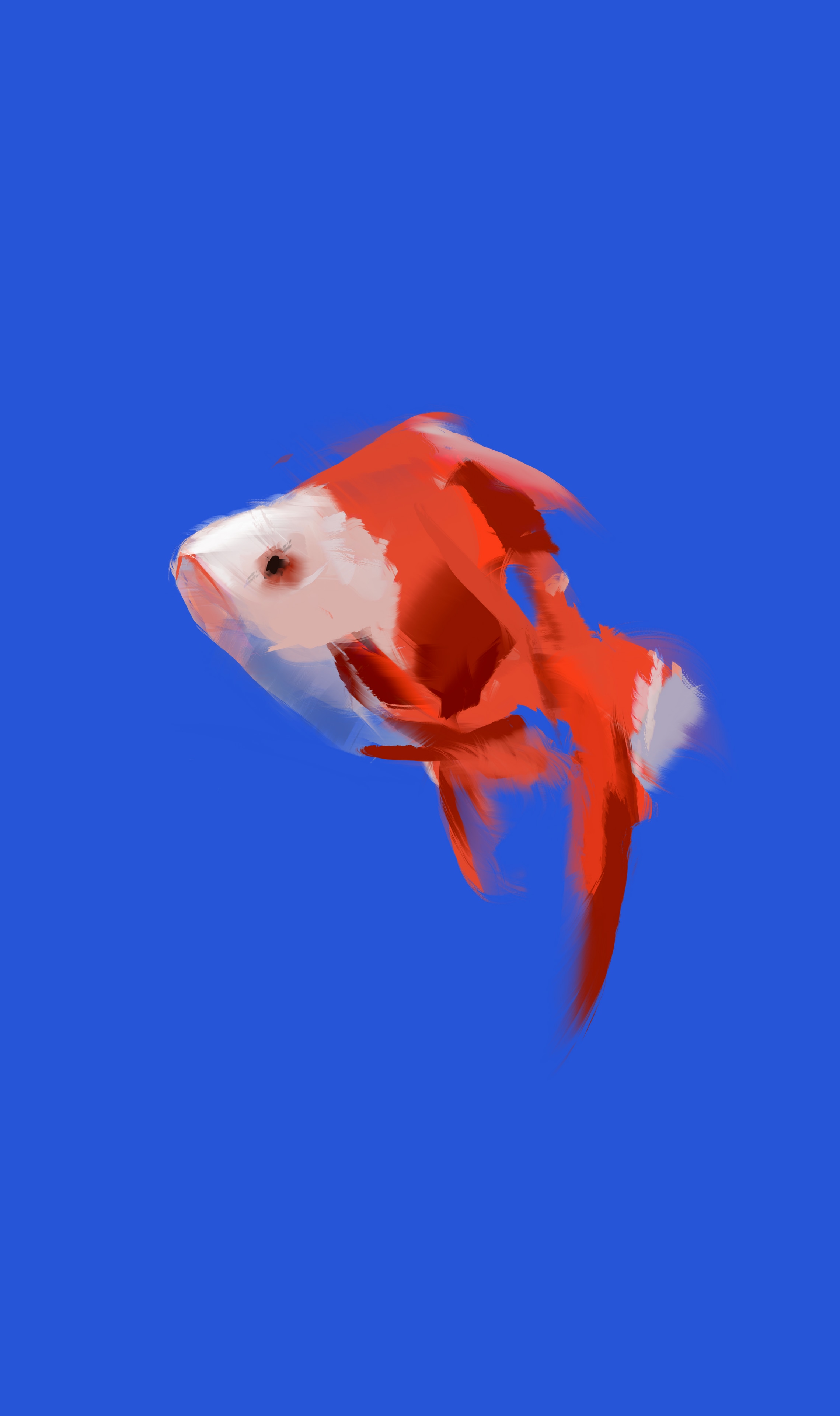 Les poissons par Flo