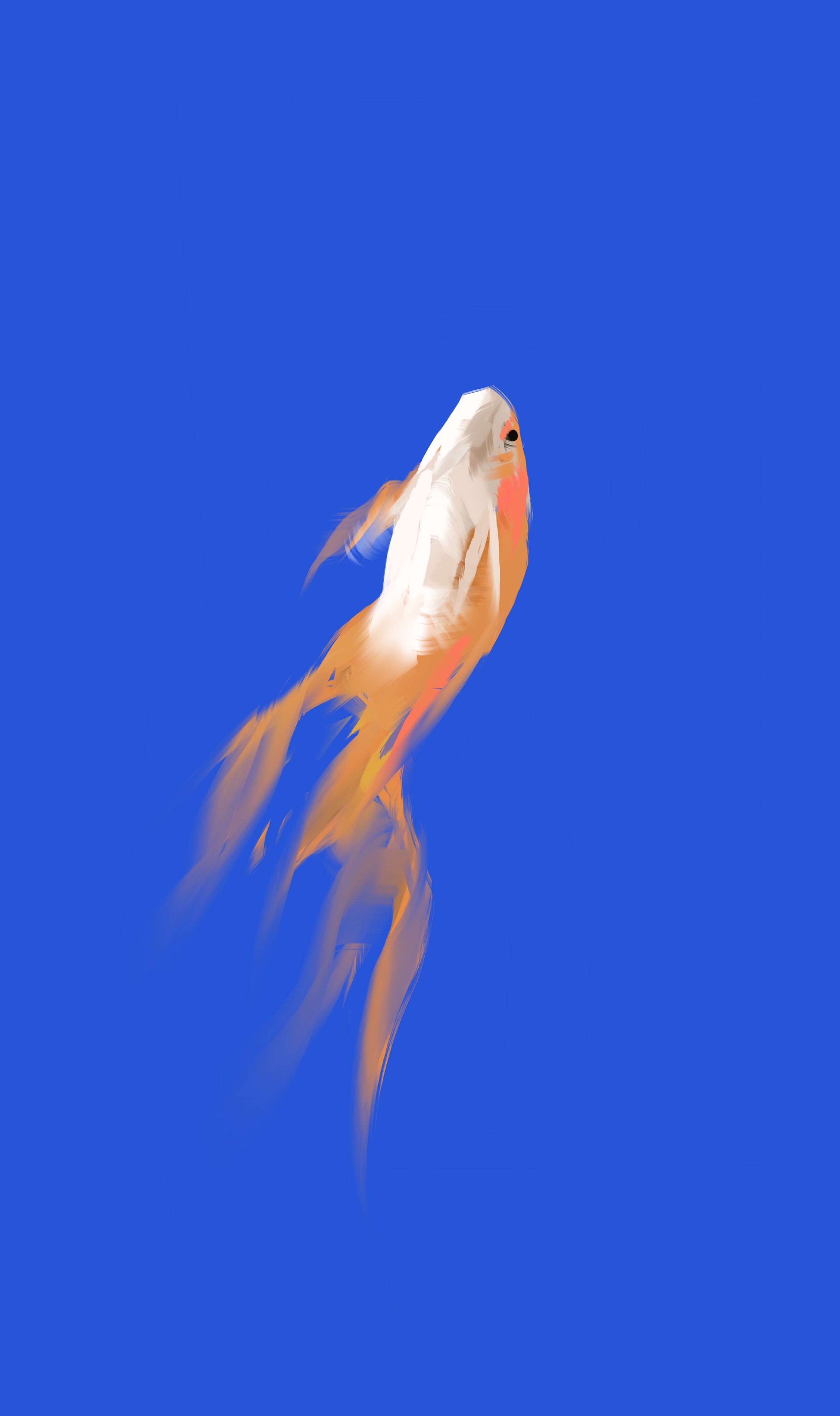 Les poissons par Flo