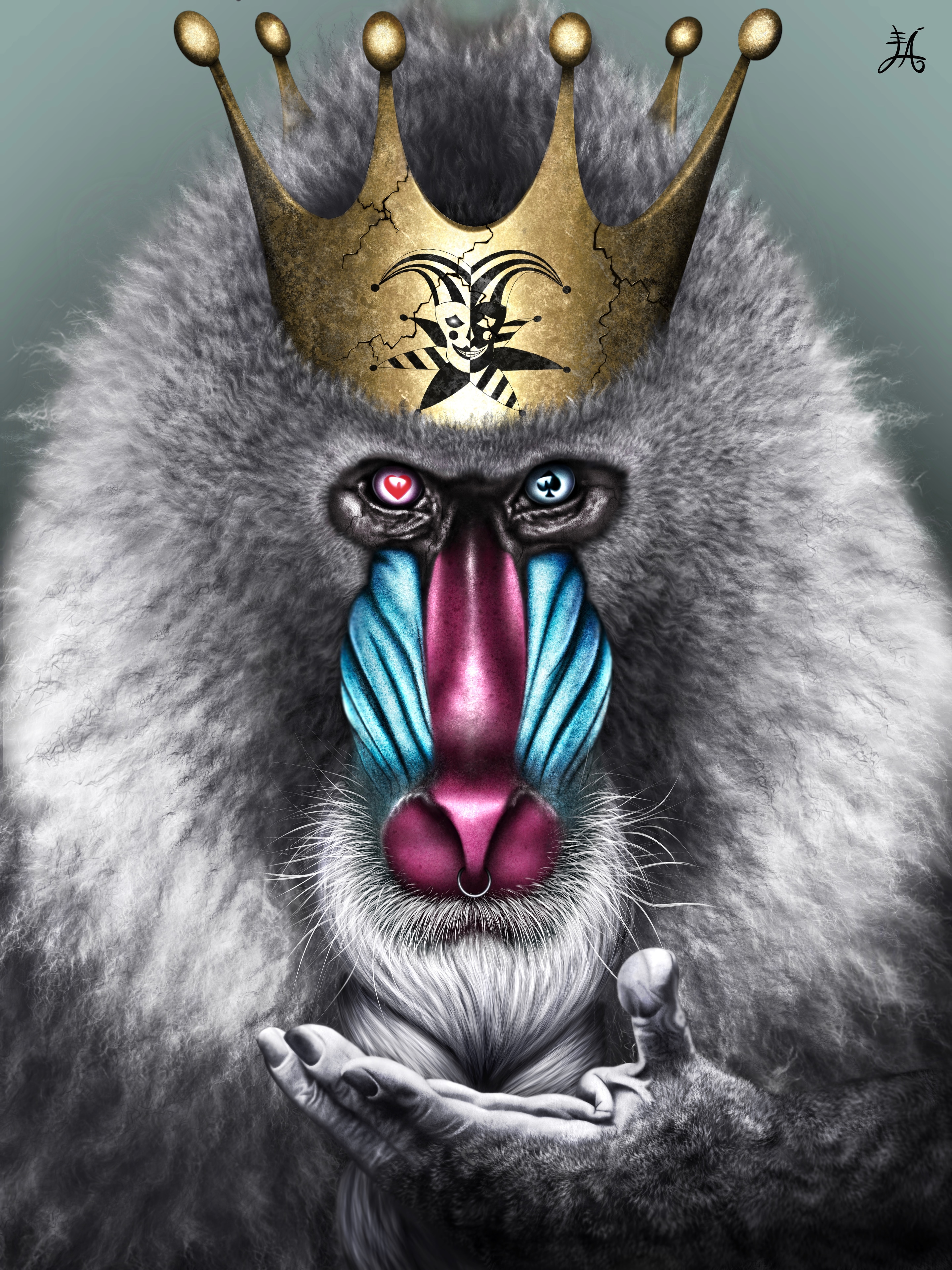 king's guest par lolo