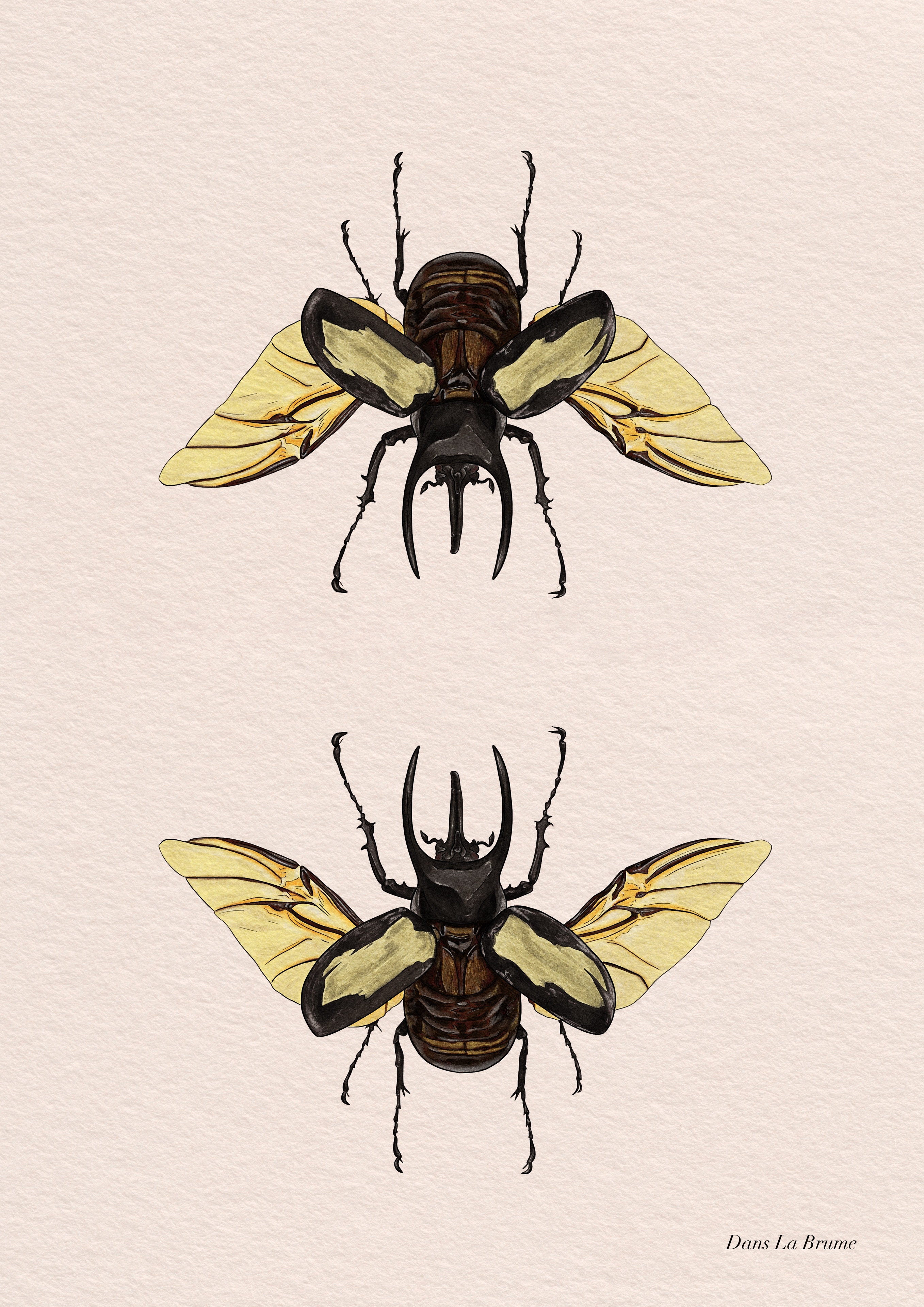 Digital par Dans la Brume