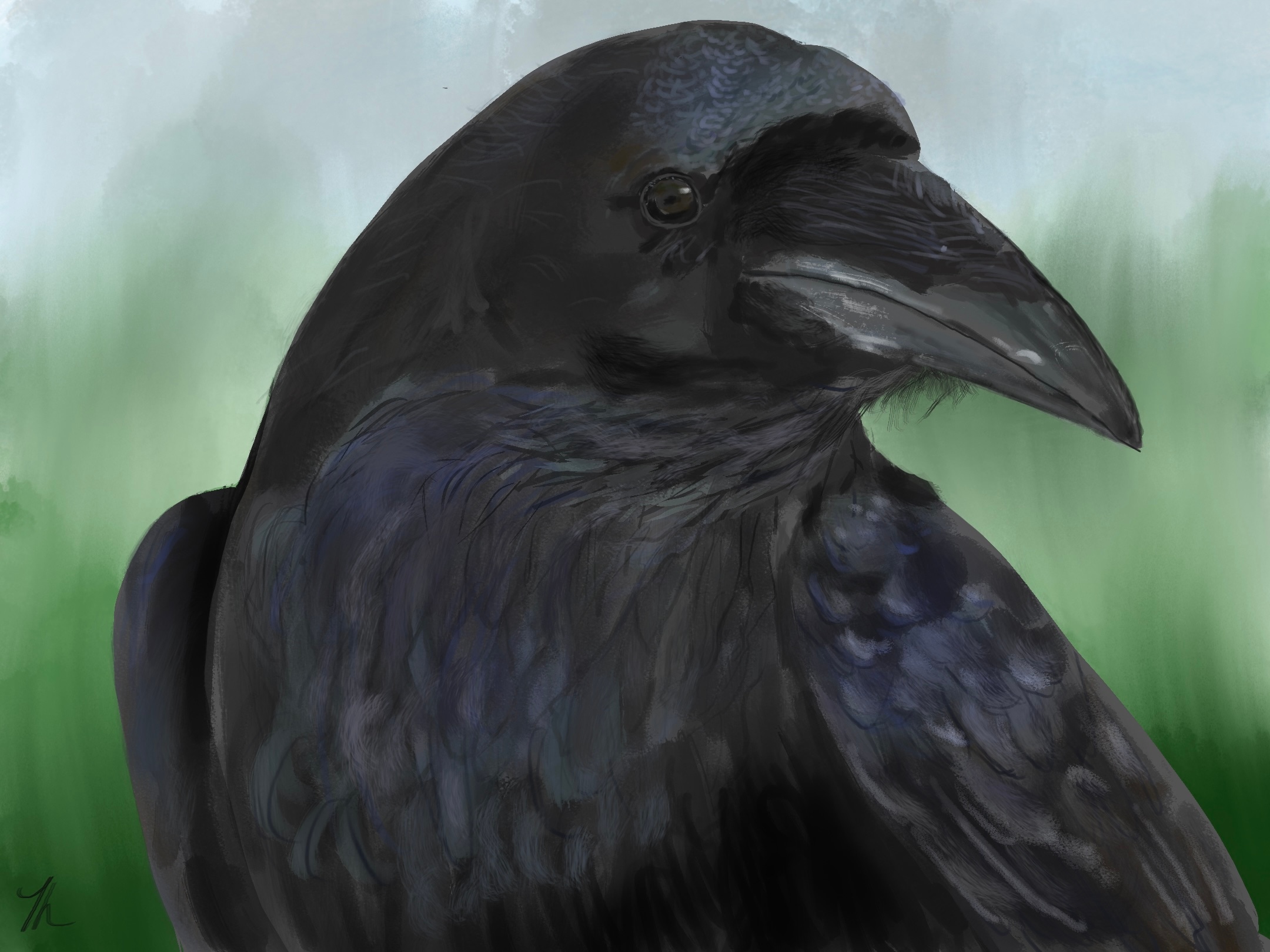 Corbeau etude par crom_le_moriac