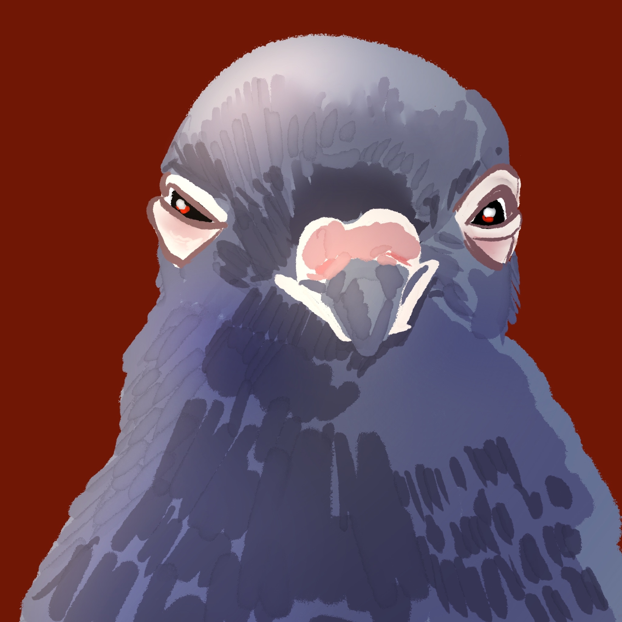 Les pigeons par Camalunette