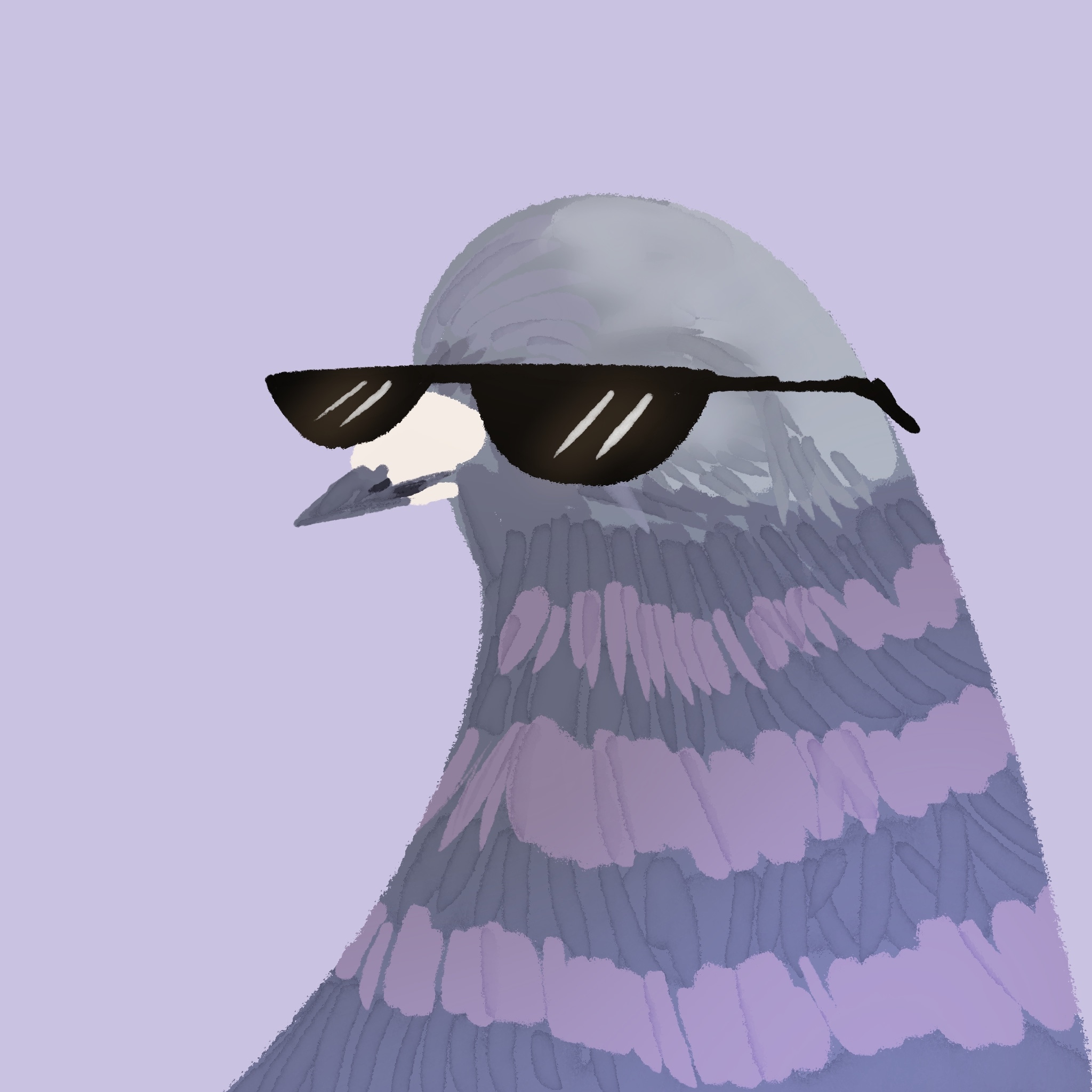 Les pigeons par Camalunette