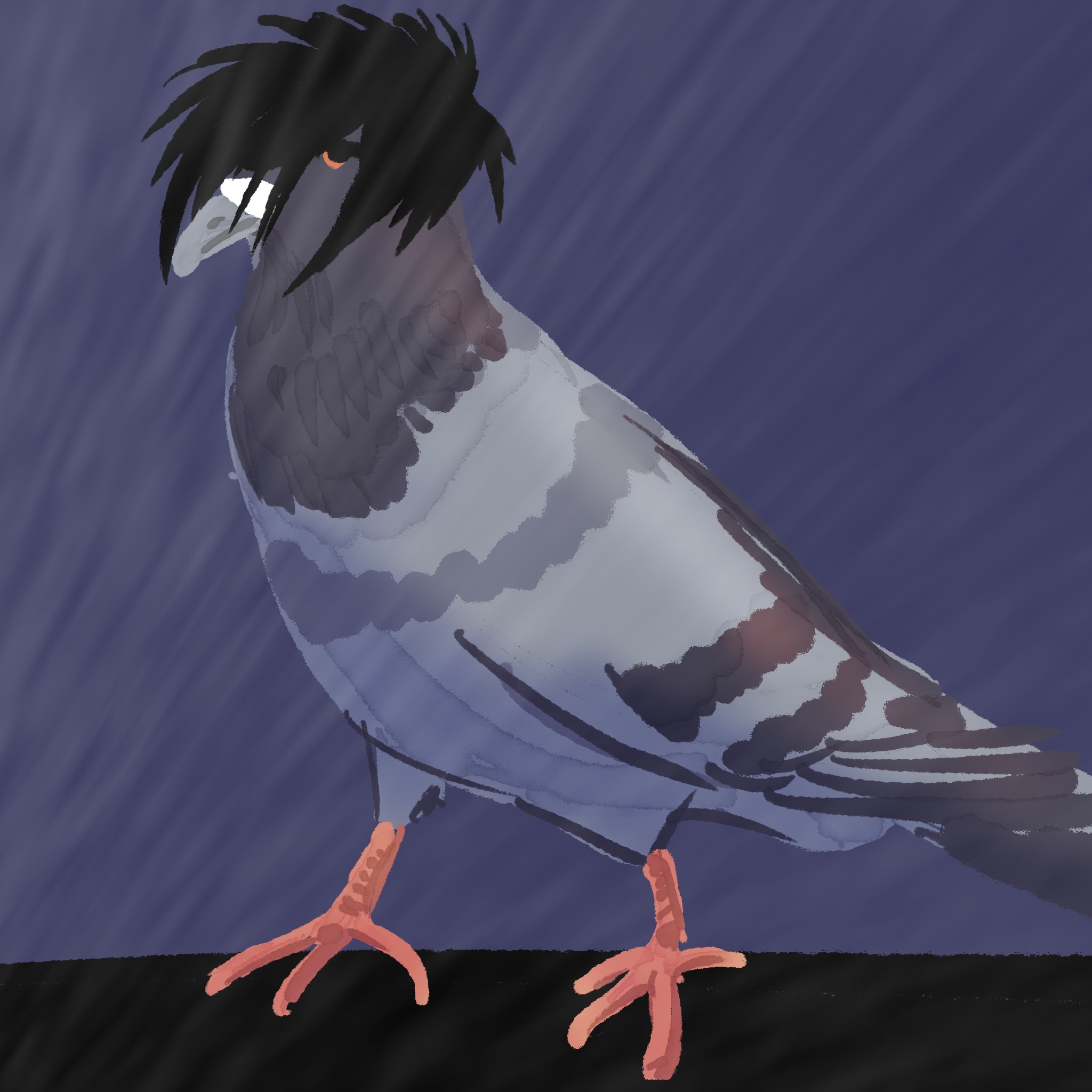 Les pigeons par Camalunette
