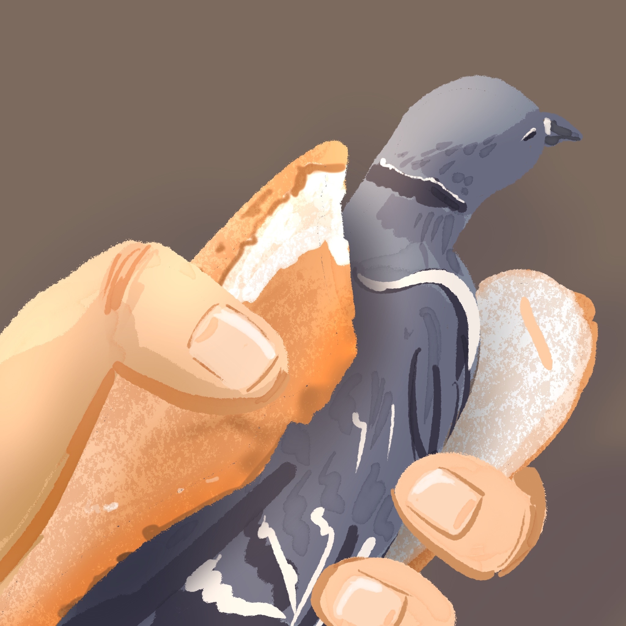 Les pigeons par Camalunette