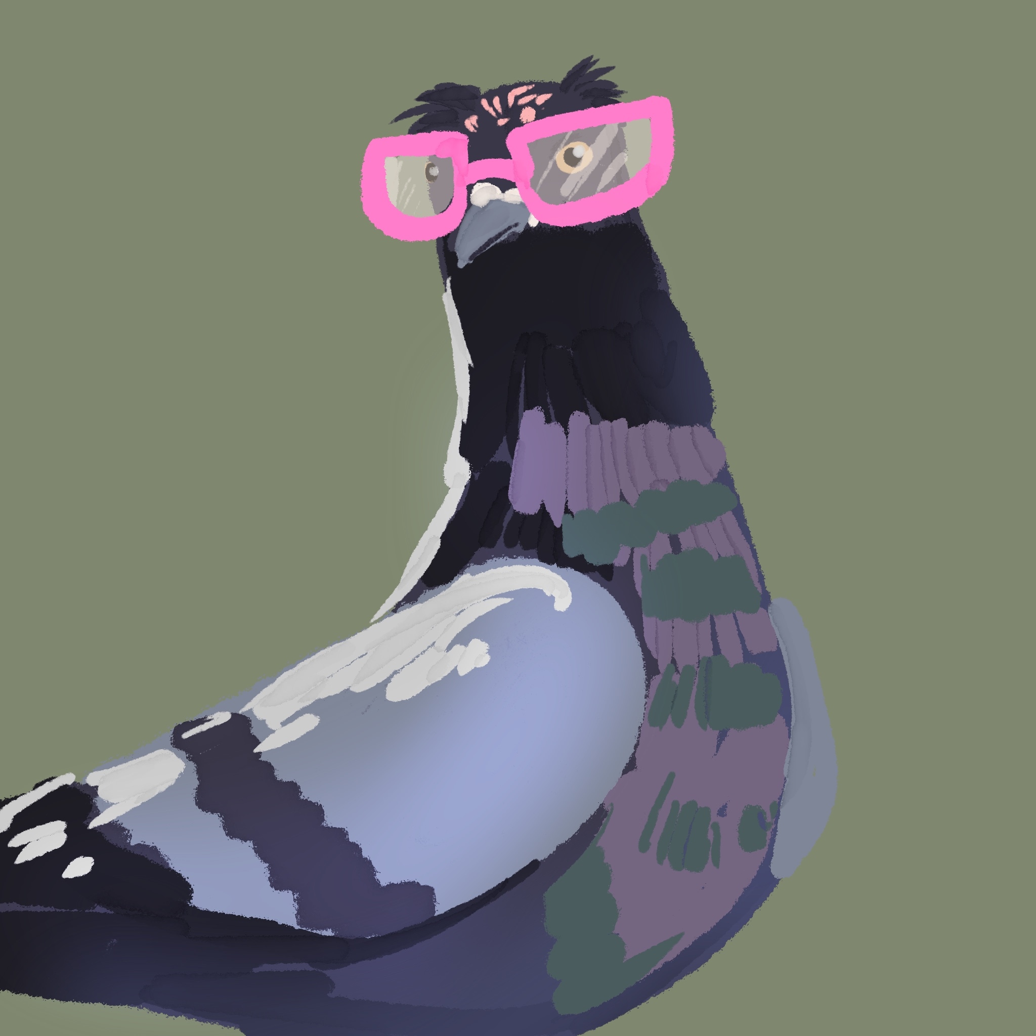 Les pigeons par Camalunette
