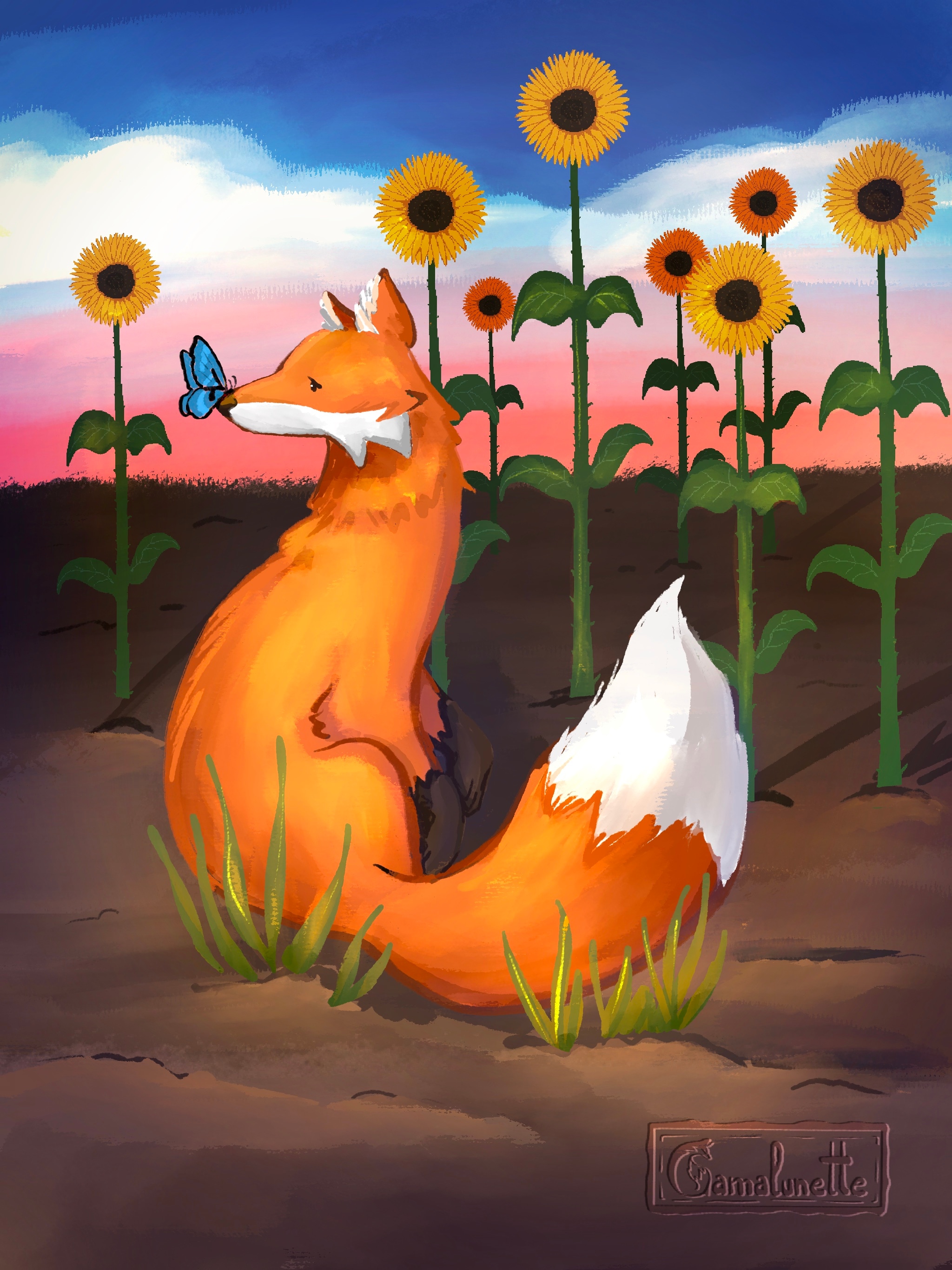 Renard dans le soleil couchant par Camalunette