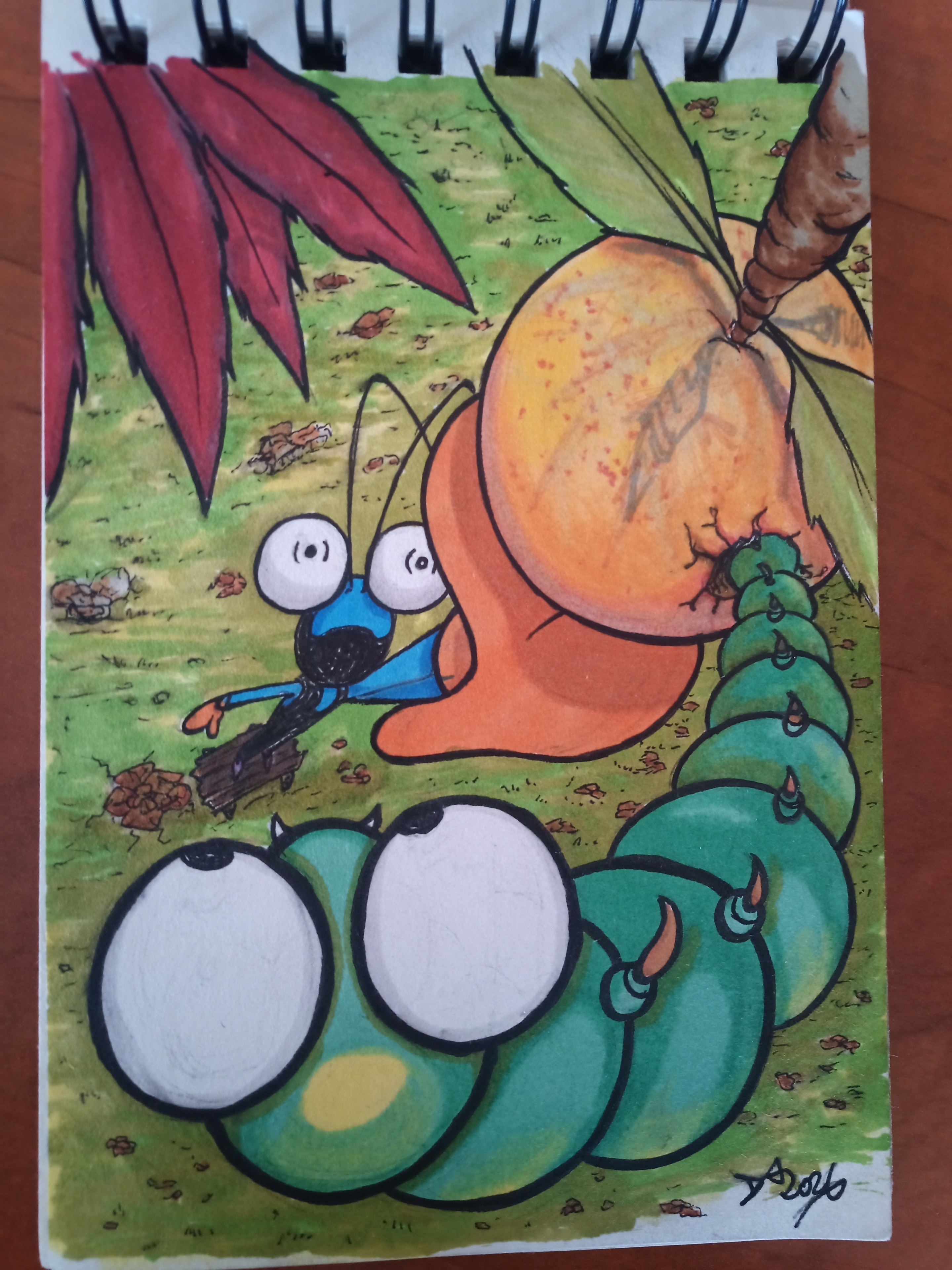 Tsédric la mouche ? par Dax Lou