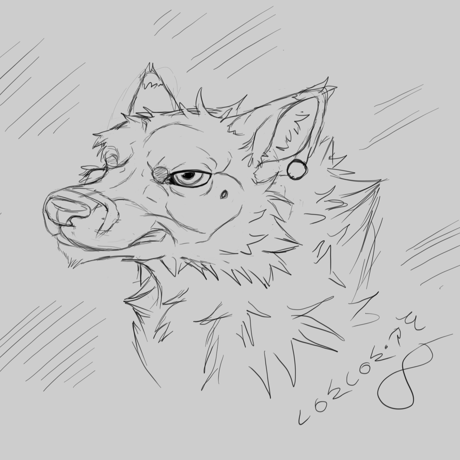 Wolf Sketchart par Mr.Wouwou