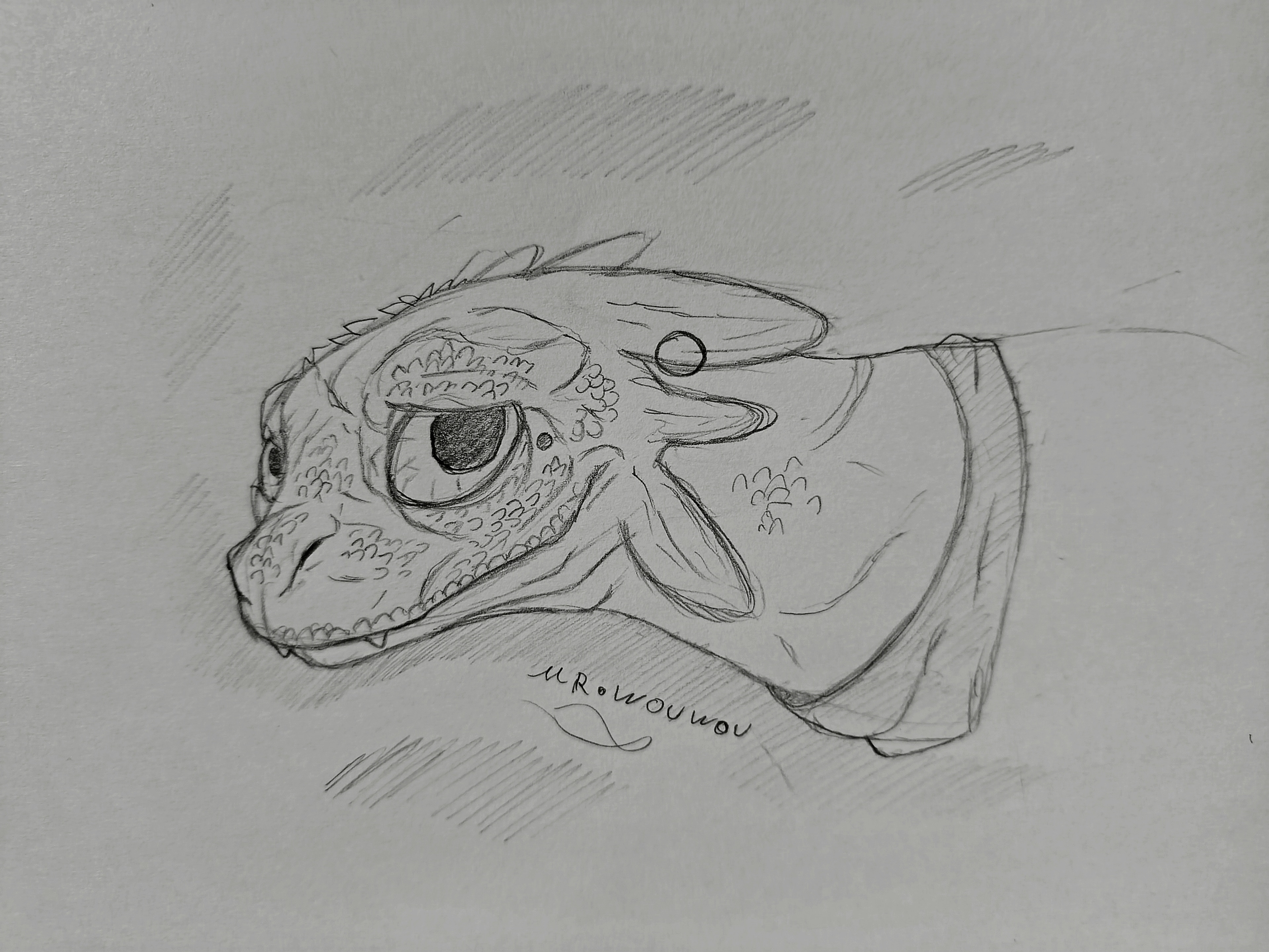 Krokmou Sketchart par Mr.Wouwou