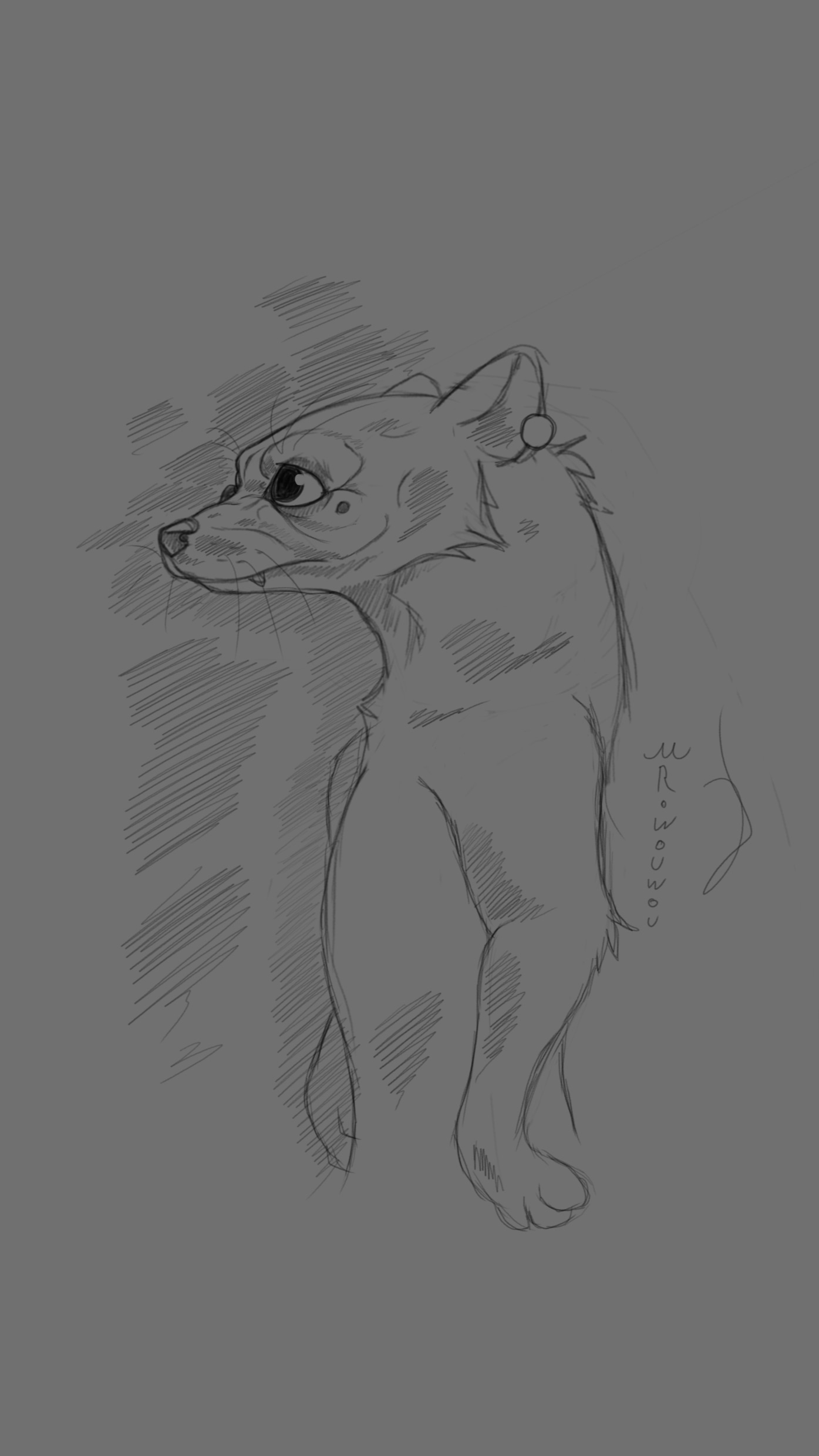 Ferret Sketchart par Mr.Wouwou