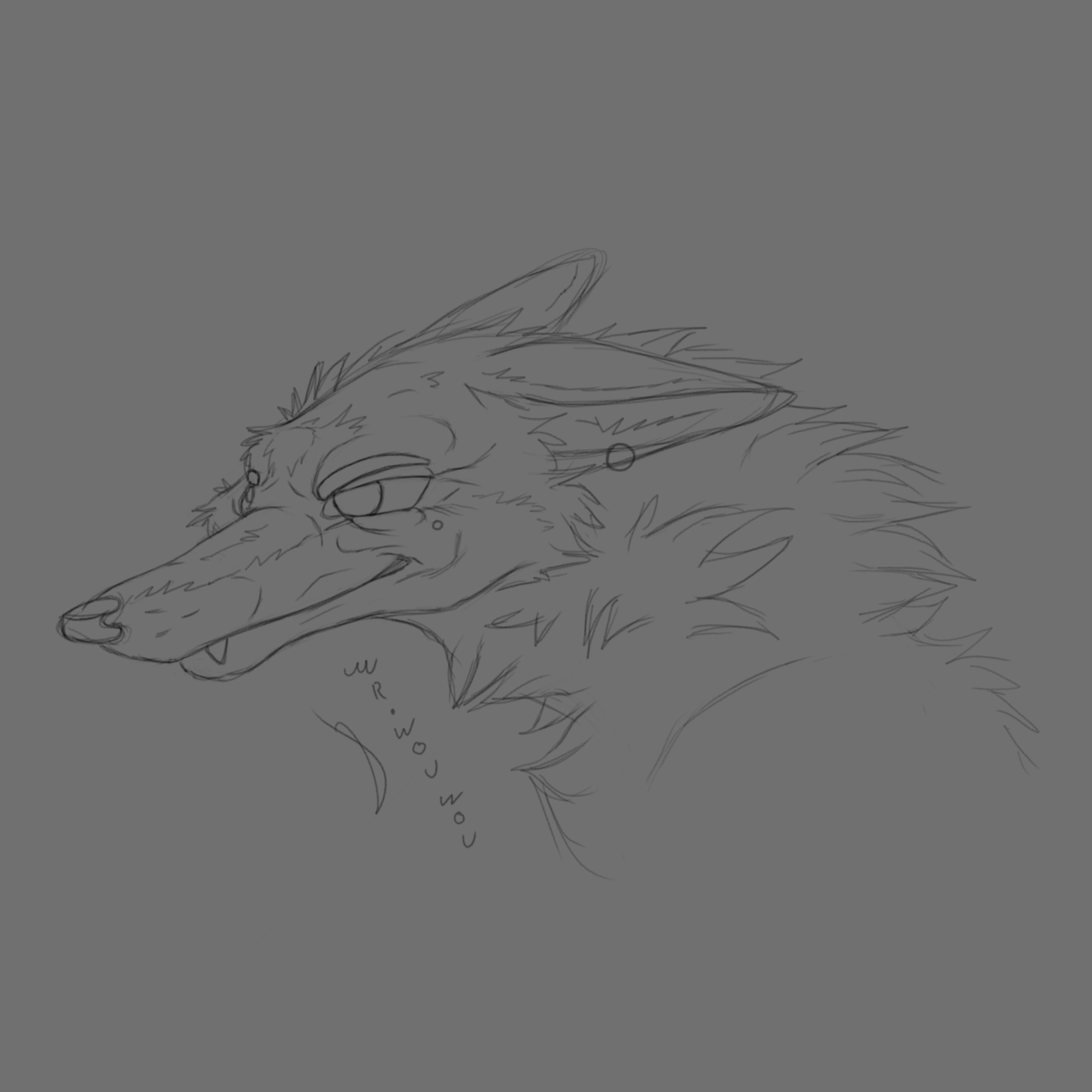 Coyote Sketchart par Mr.Wouwou