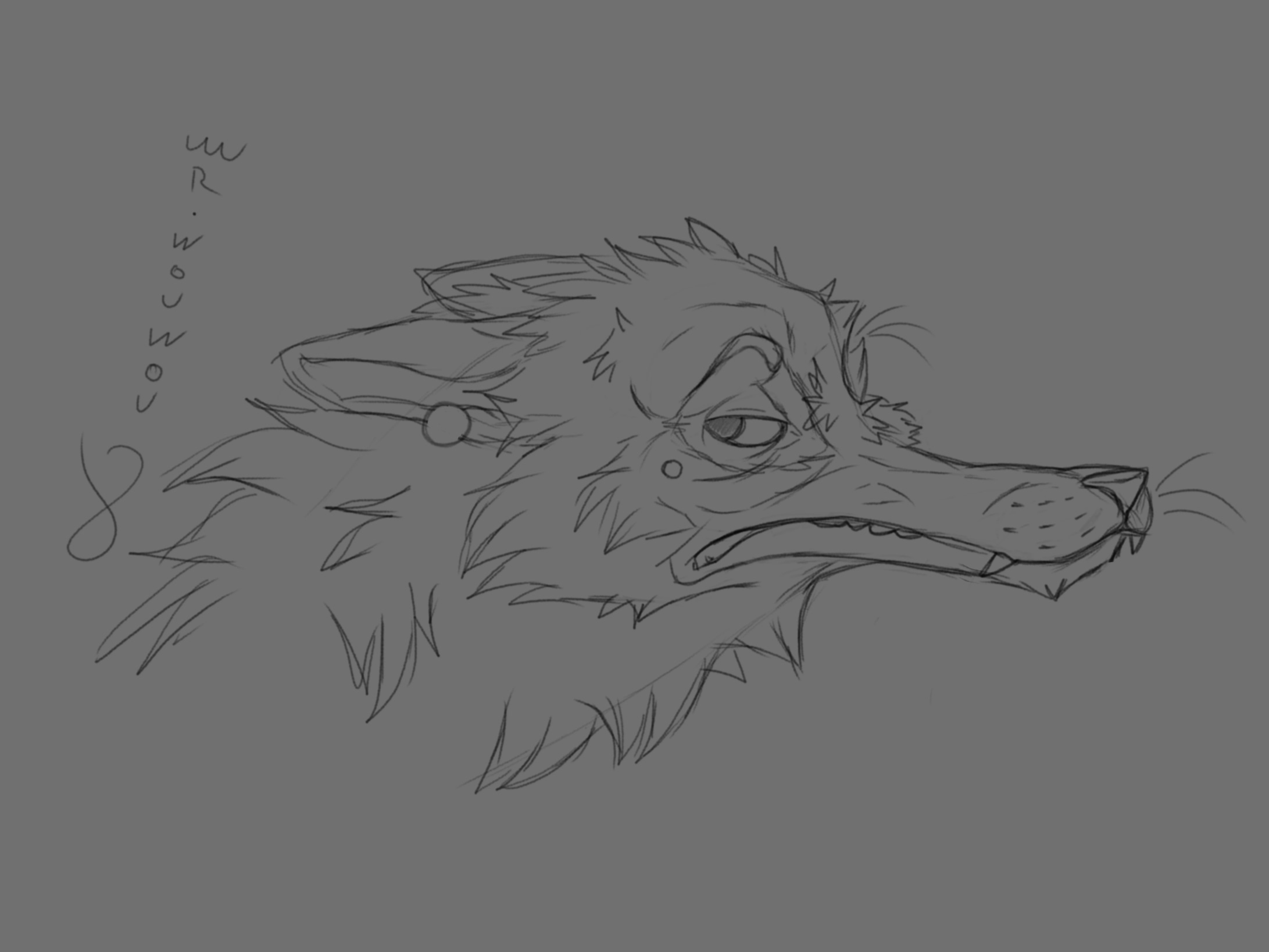 Carrel Sketchart par Mr.Wouwou