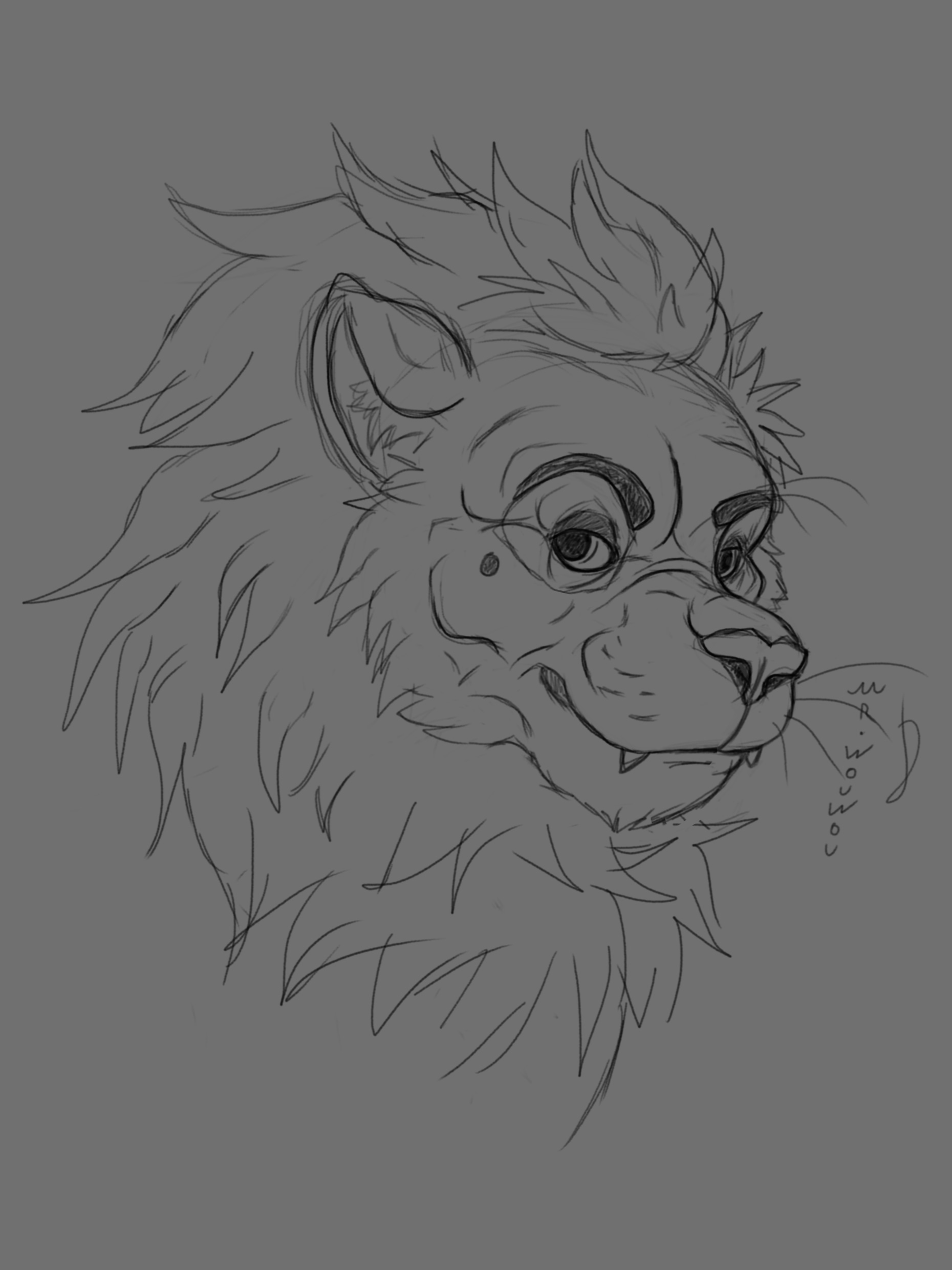 Lion Sketchart par Mr.Wouwou