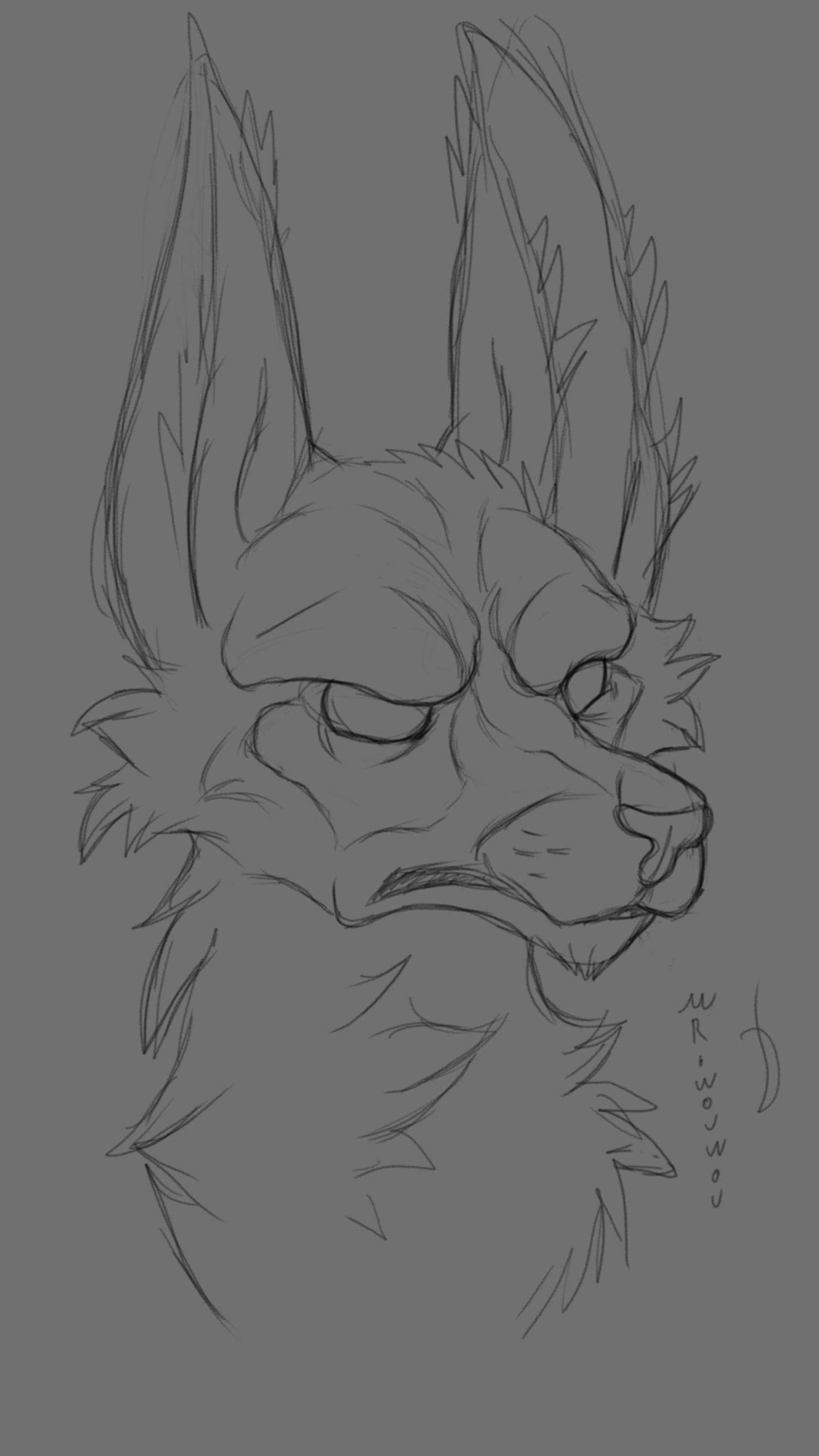 Oyrnox Sketchart par Mr.Wouwou