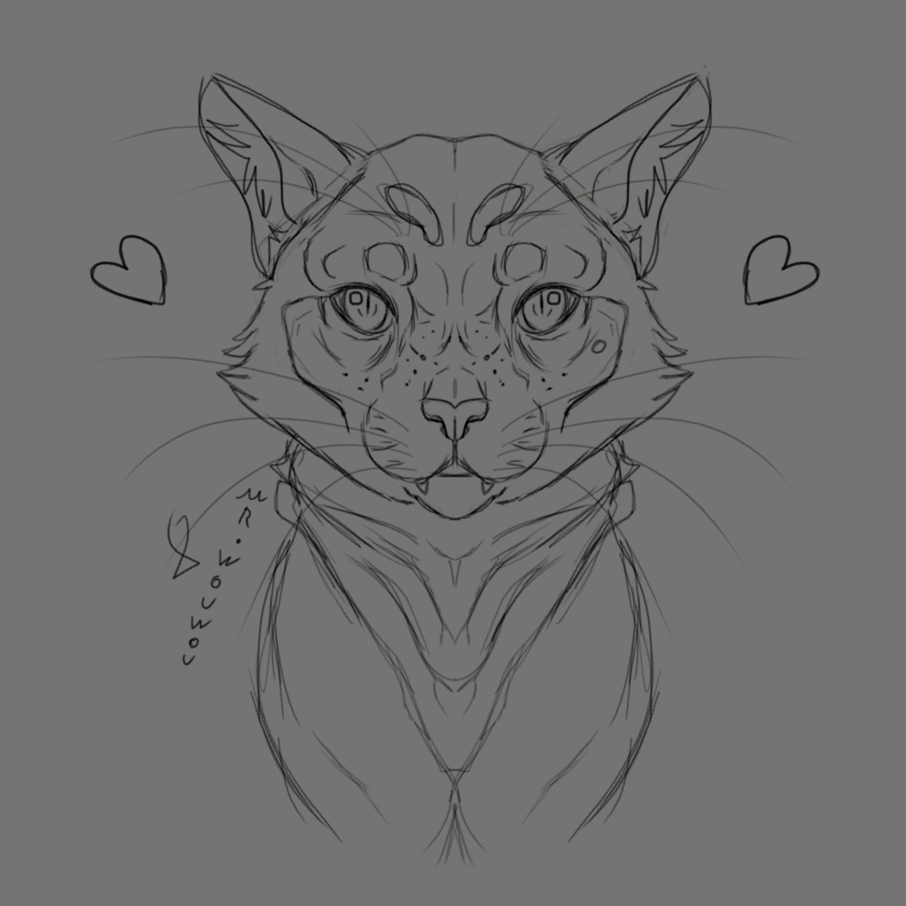 Ronron Panier Sketchart par Mr.Wouwou