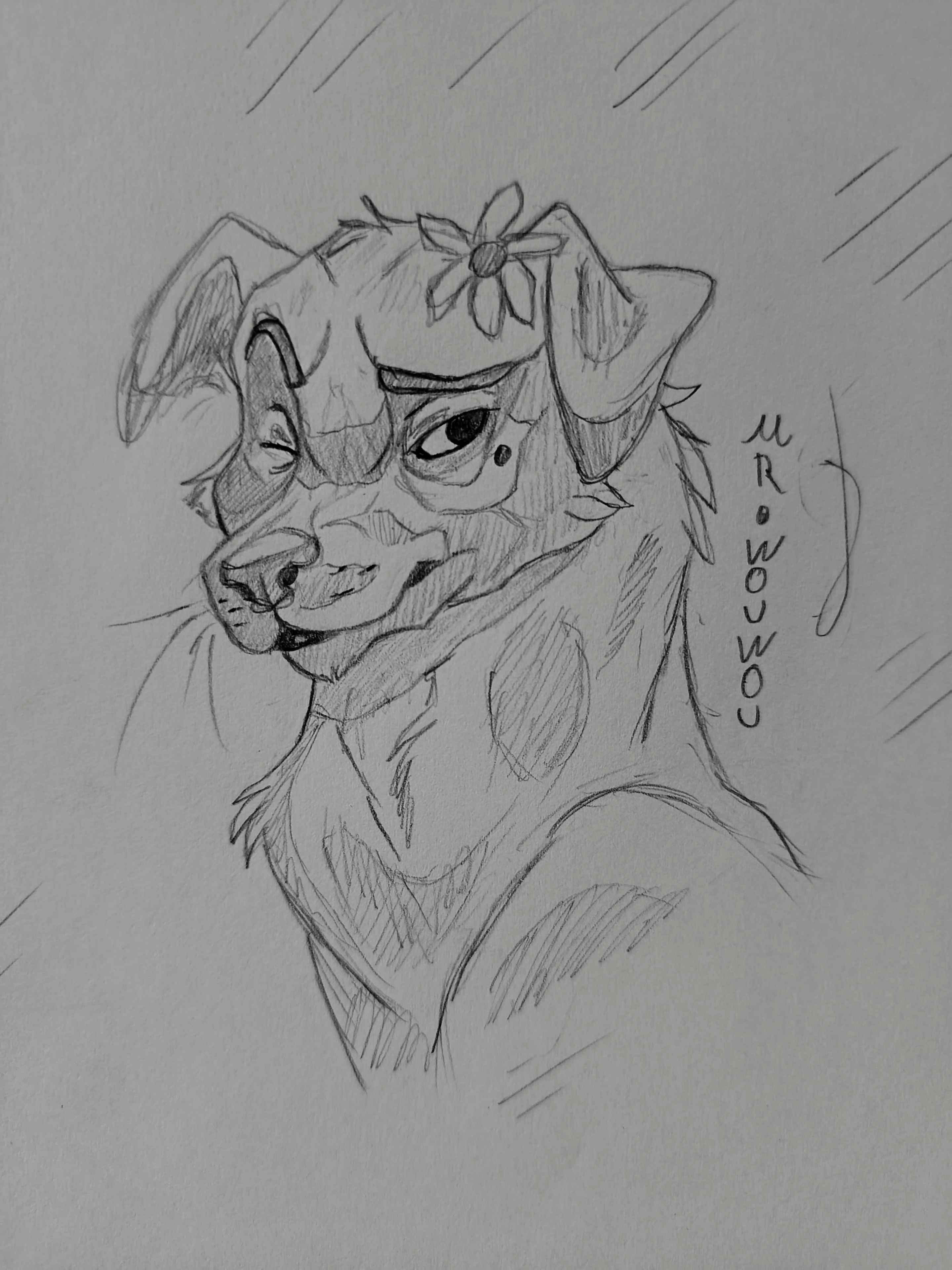 Pluff Sketchart par Mr.Wouwou