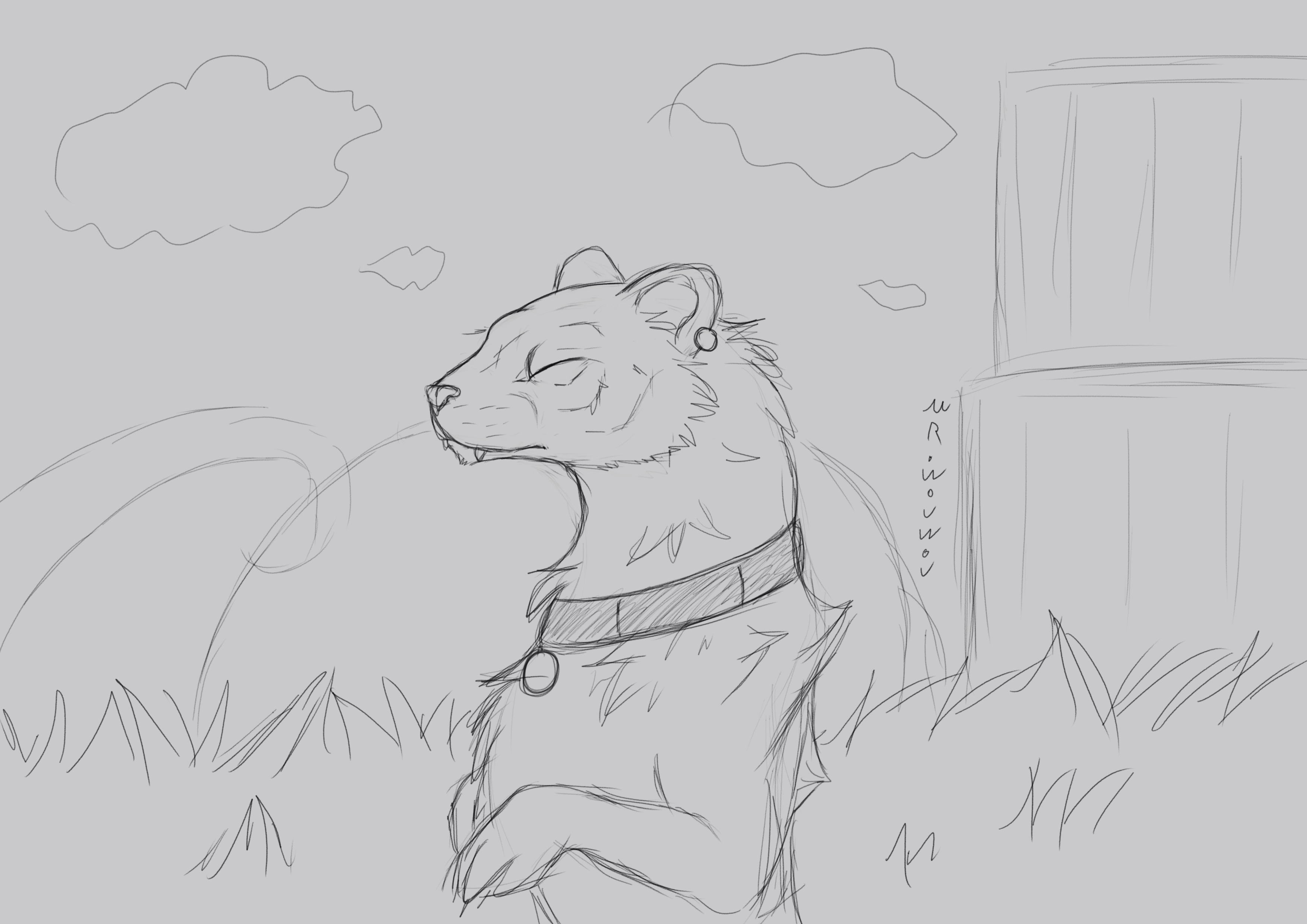 Weasel Sketchart par Mr.Wouwou