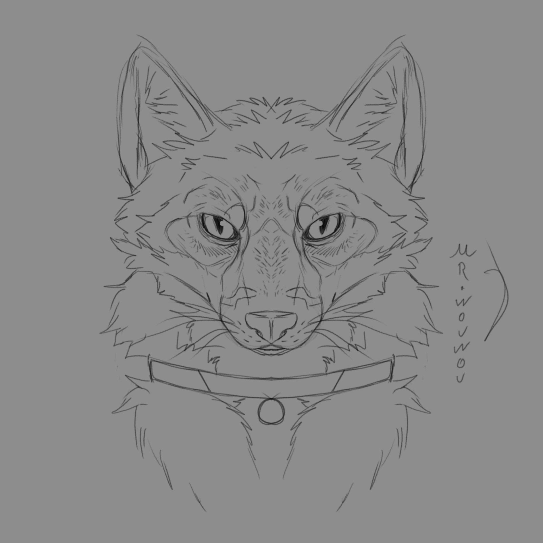 Fox Sketchart par Mr.Wouwou