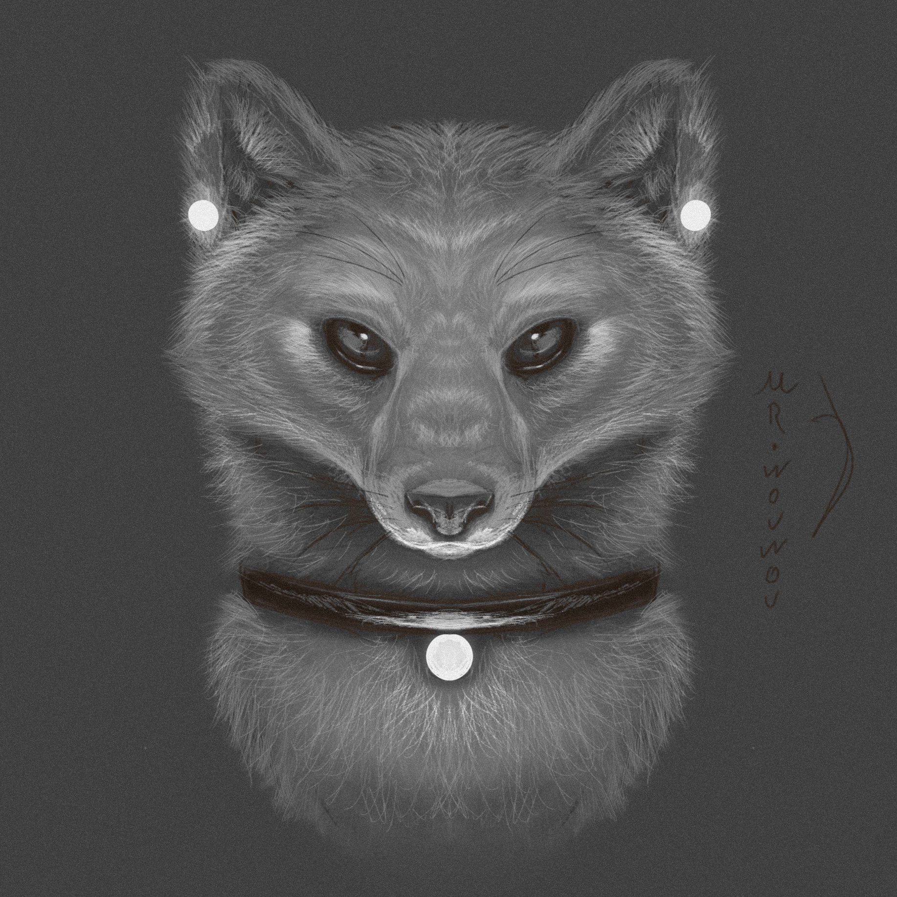 Fox Sketchart par Mr.Wouwou