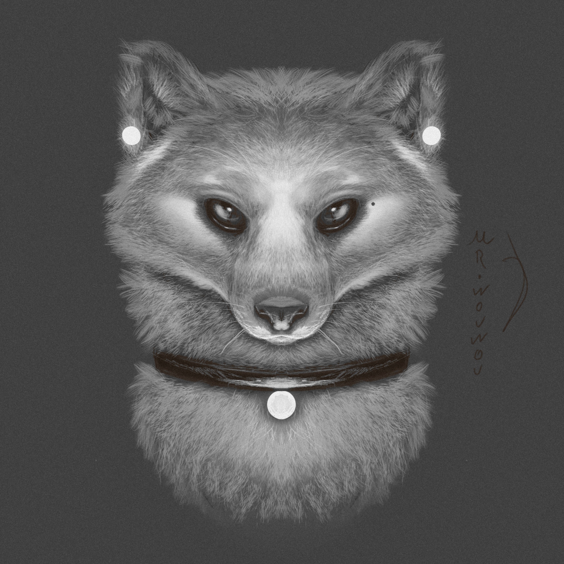 Fox Sketchart par Mr.Wouwou