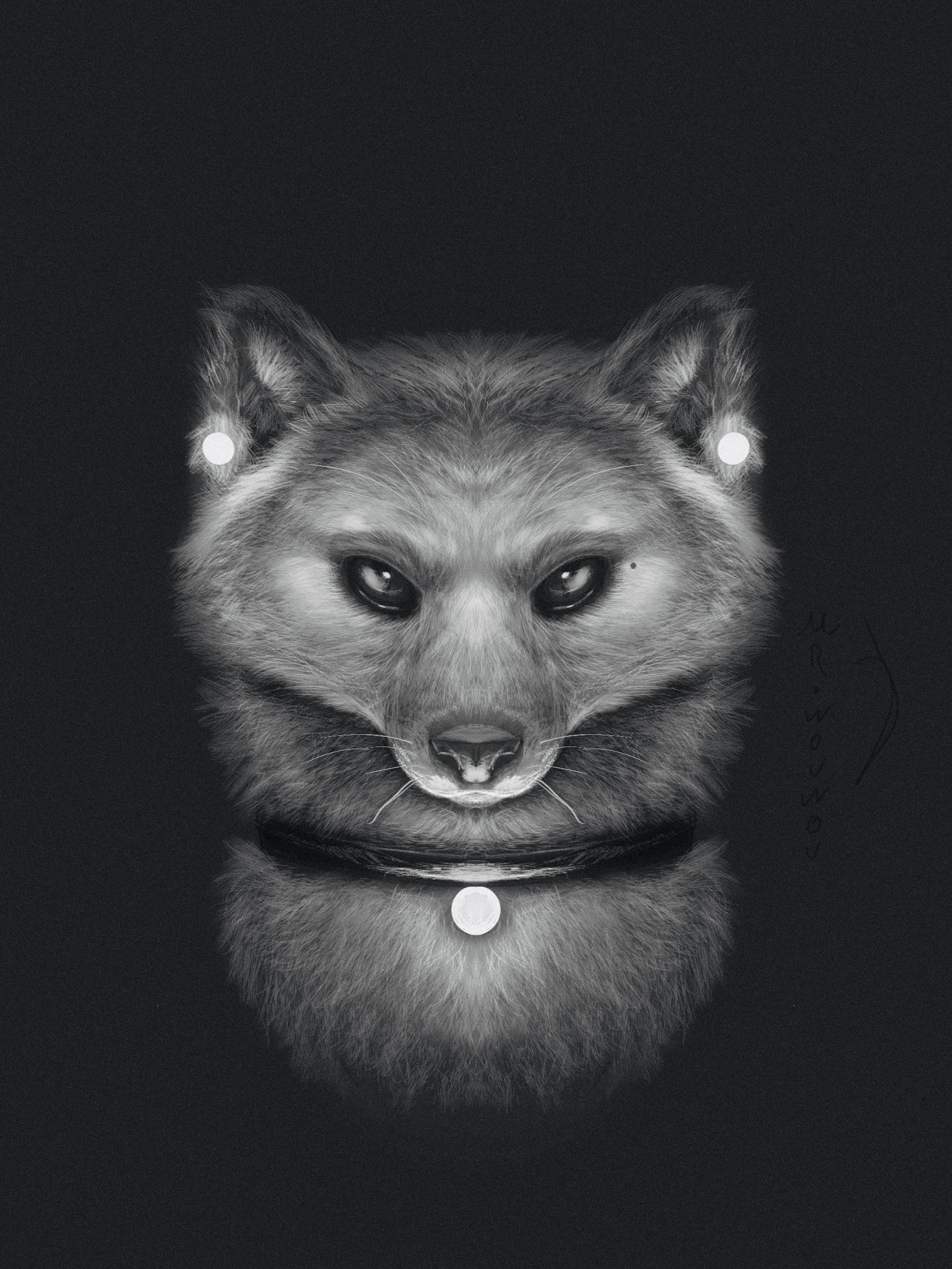 Fox Sketchart par Mr.Wouwou
