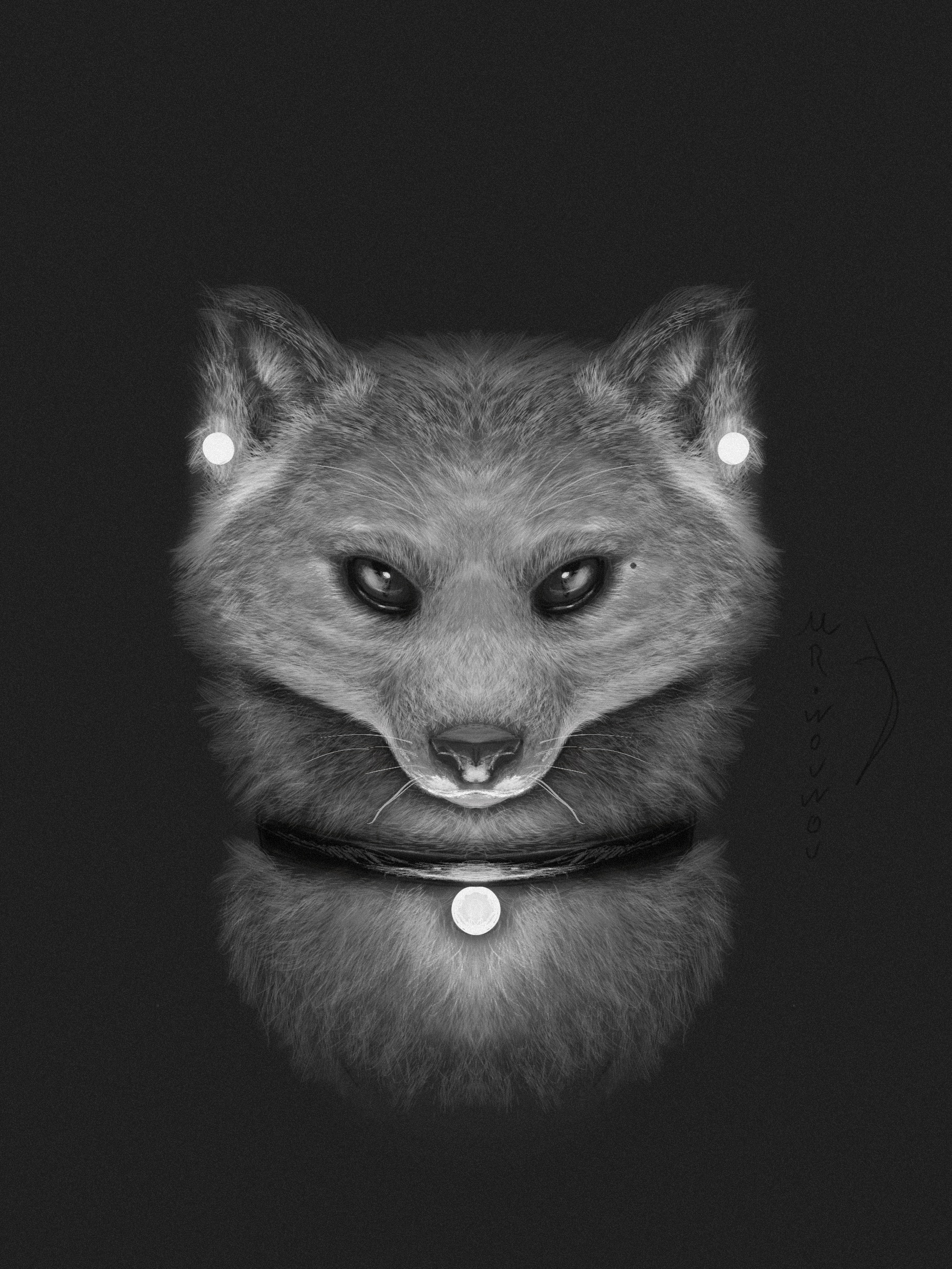 Fox Sketchart par Mr.Wouwou