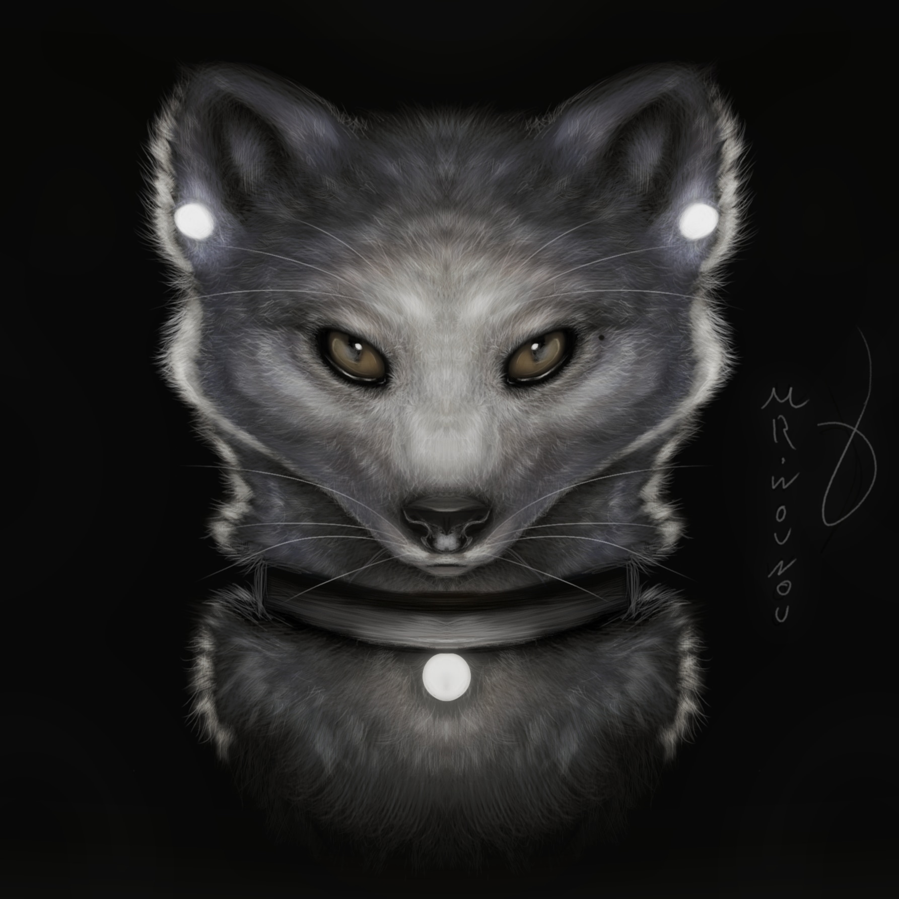 Arctic Fox par Mr.Wouwou