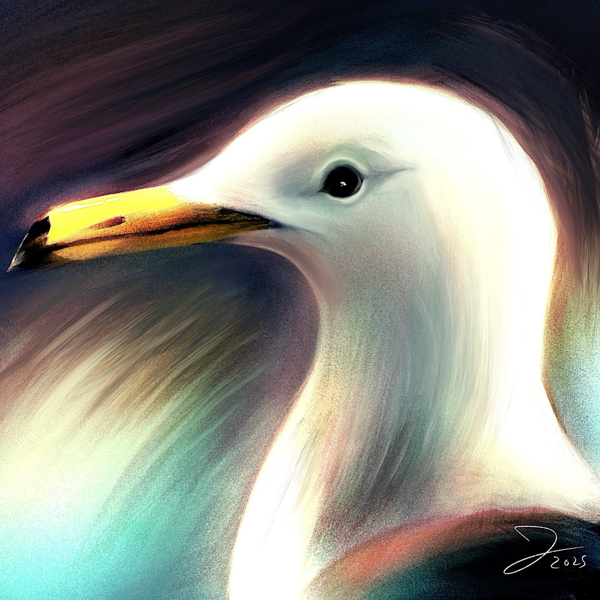 La mouette par Jérémie Lecompte