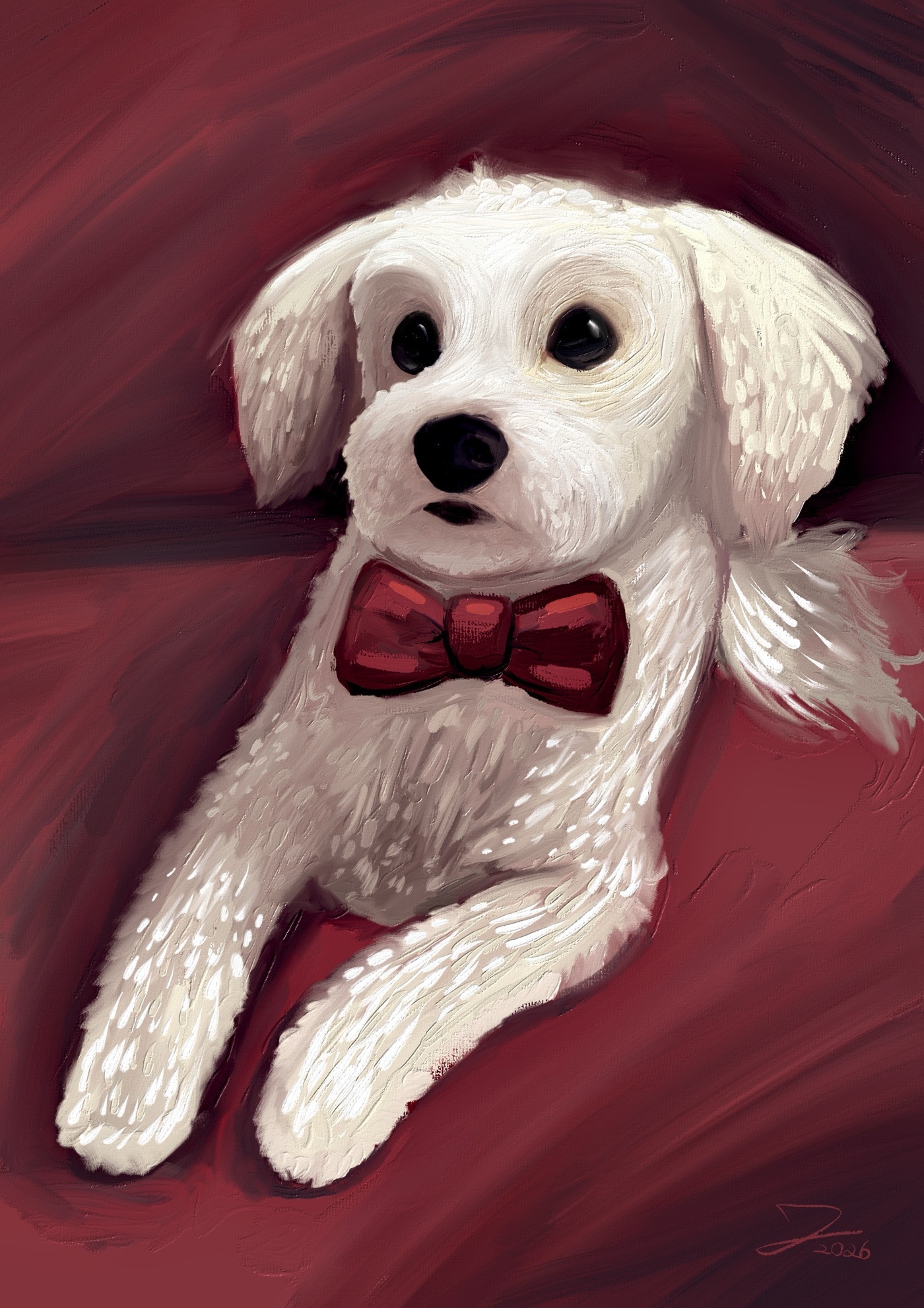 Tout petit pitou par Jérémie Lecompte