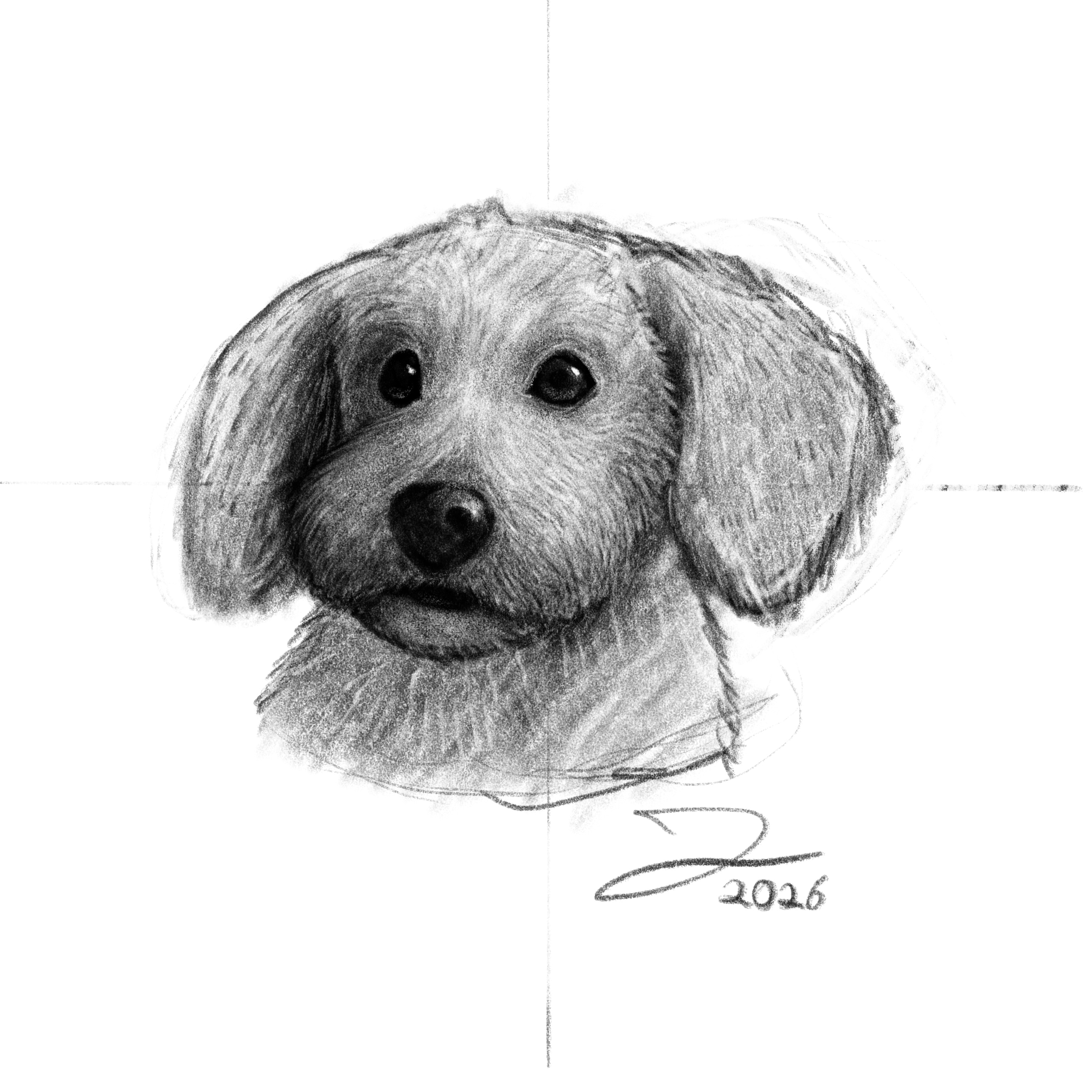 Toby par Jérémie Lecompte