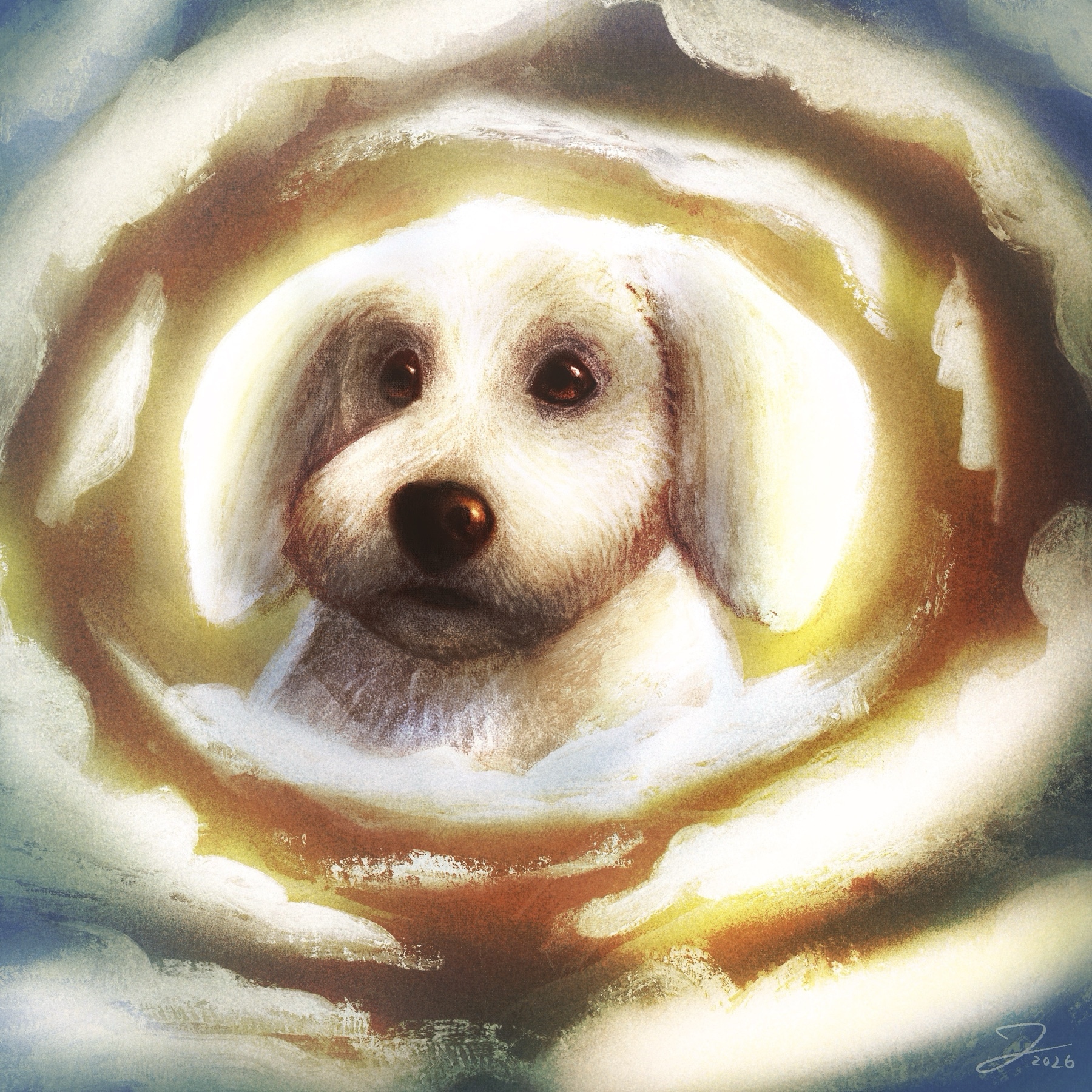 Toby par Jérémie Lecompte