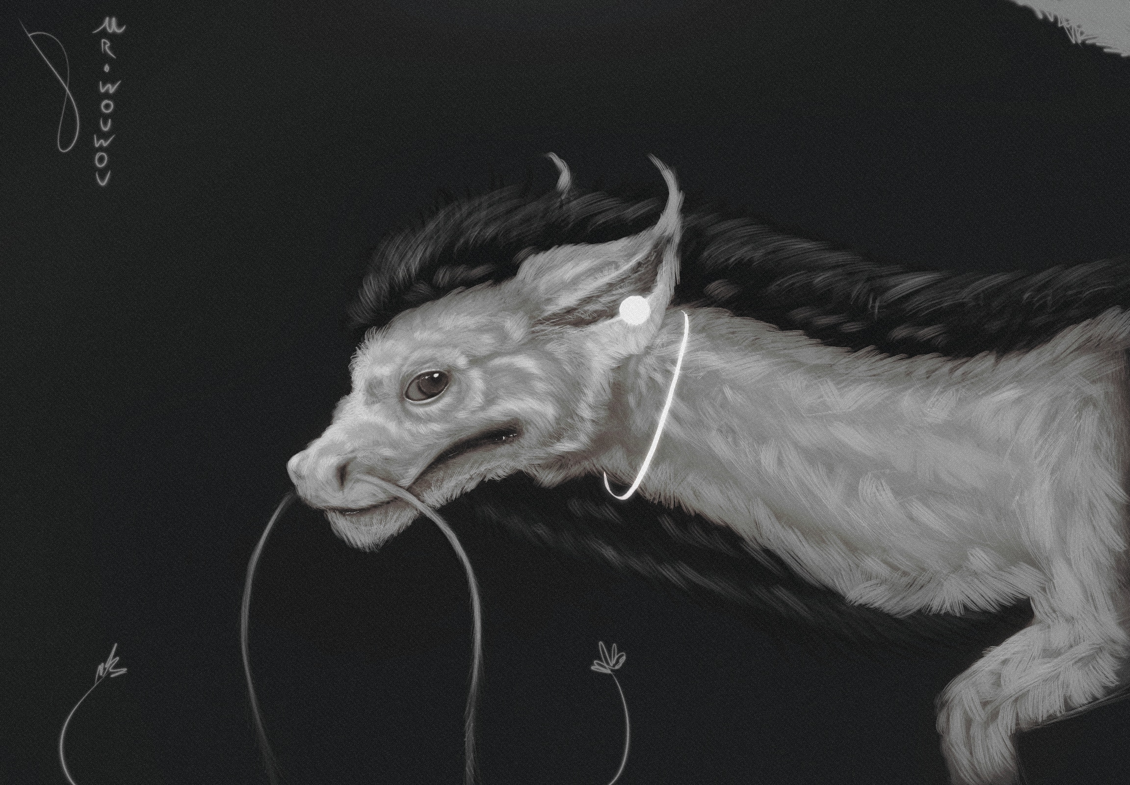 Noodle Qeshua Sketchart par Mr.Wouwou