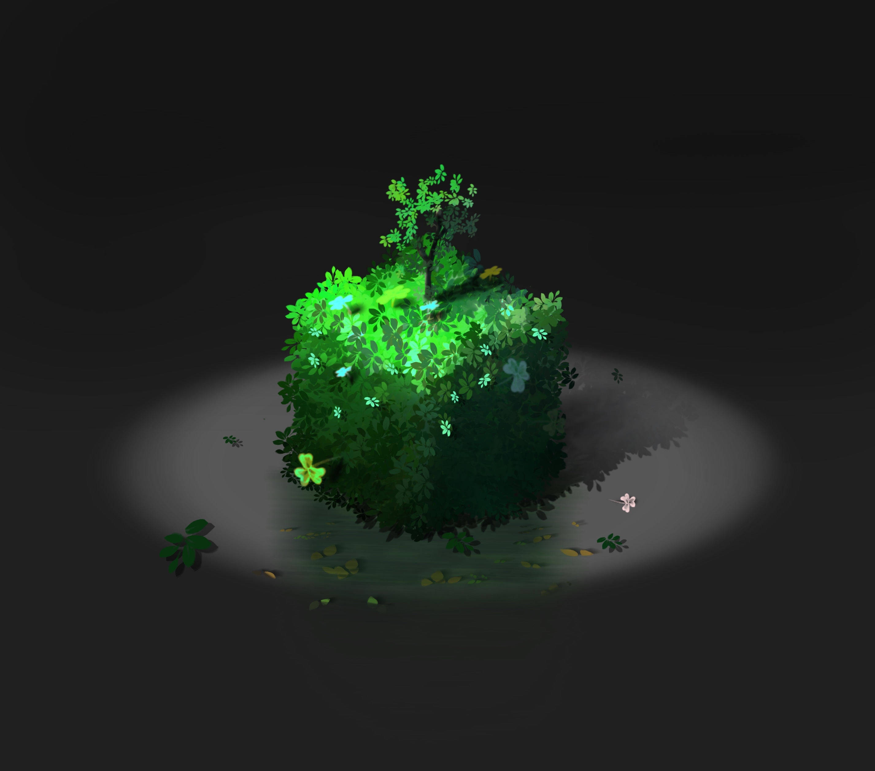 Petites études par Roebben