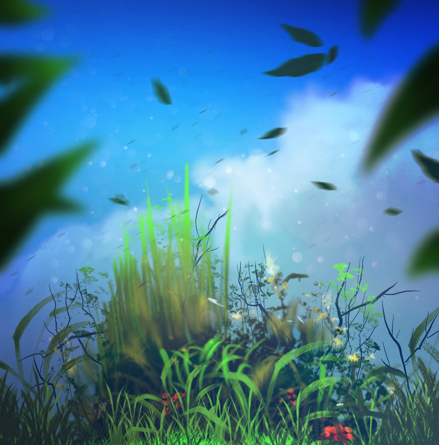 Petites études par Roebben