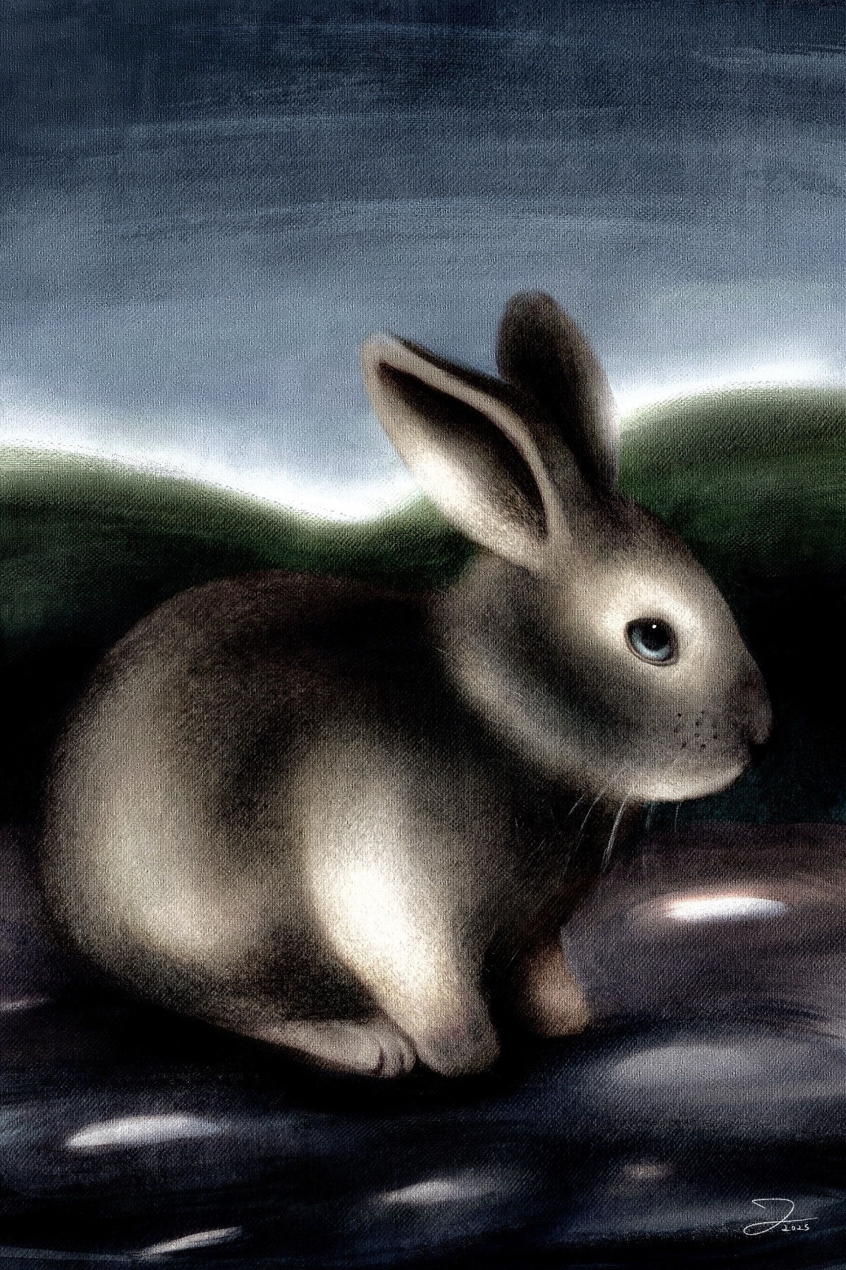 « LE LAPIN AUX YEUX BLEUS » (2025) par Jerleco