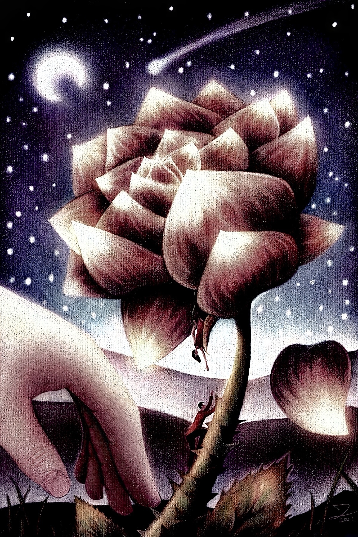 « AVENTURE PIQUANTE » (2021) par Jeremie Lecompte