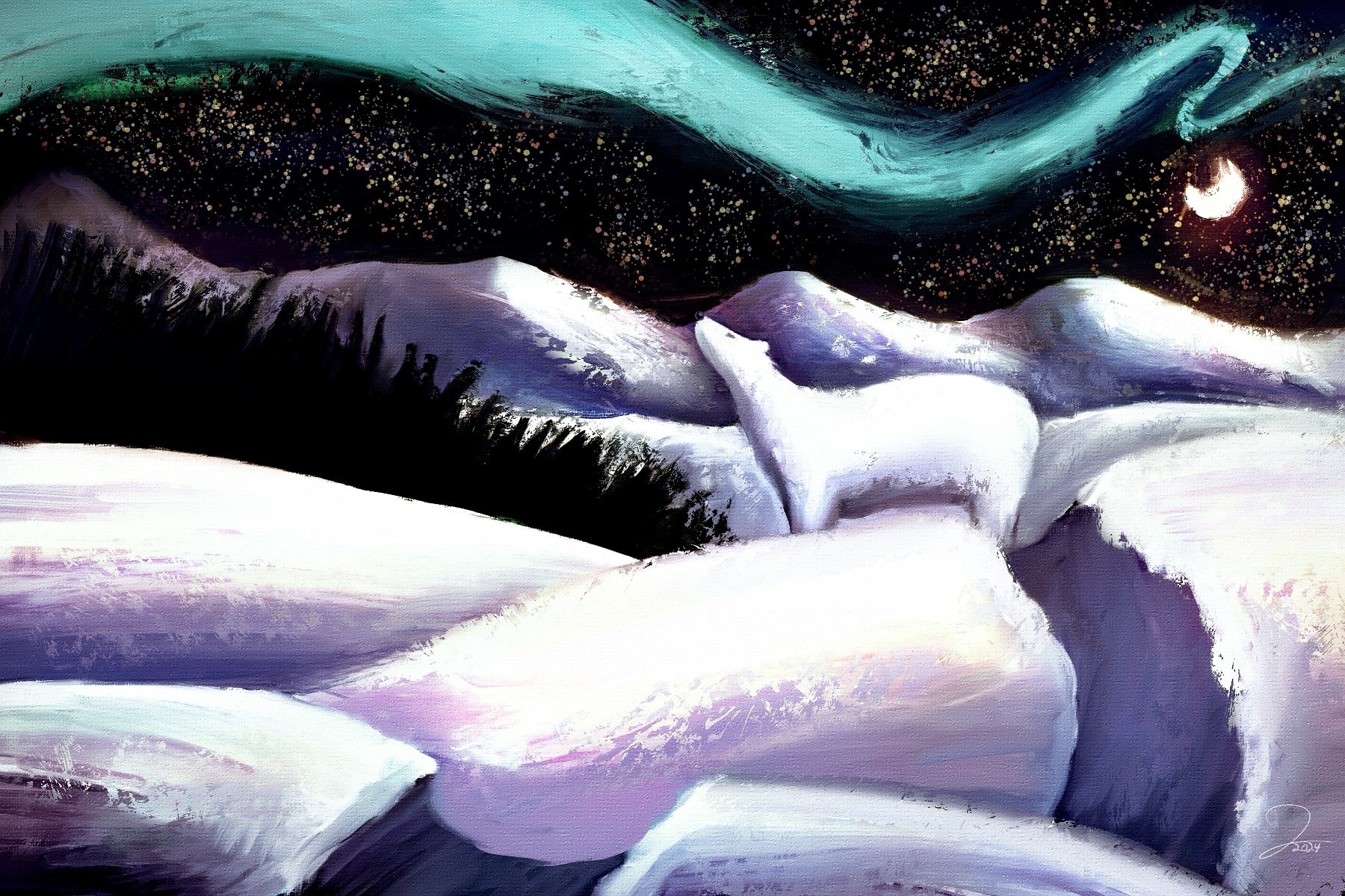 « FROID BORÉALE » (2024) par Jeremie Lecompte