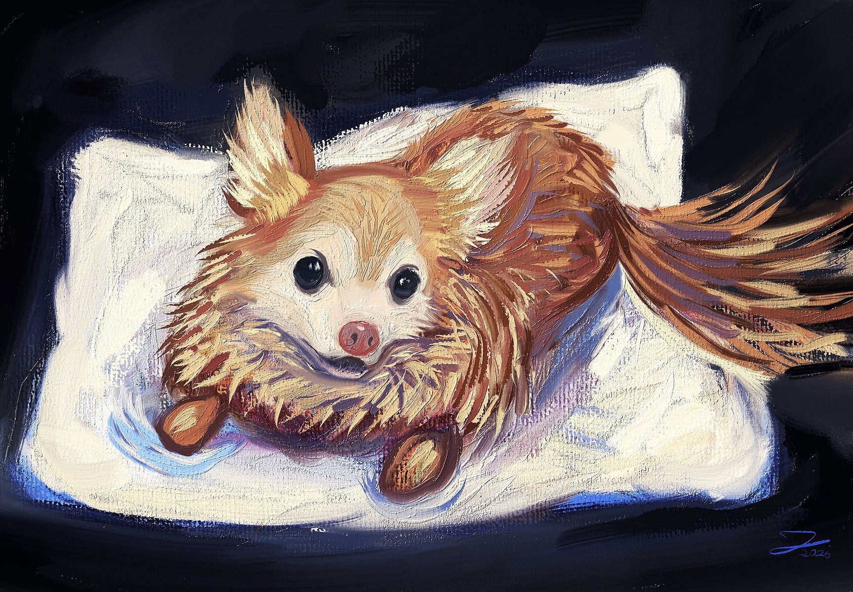 « KING LE CHIHUAHUA » (2026) par Jeremie Lecompte