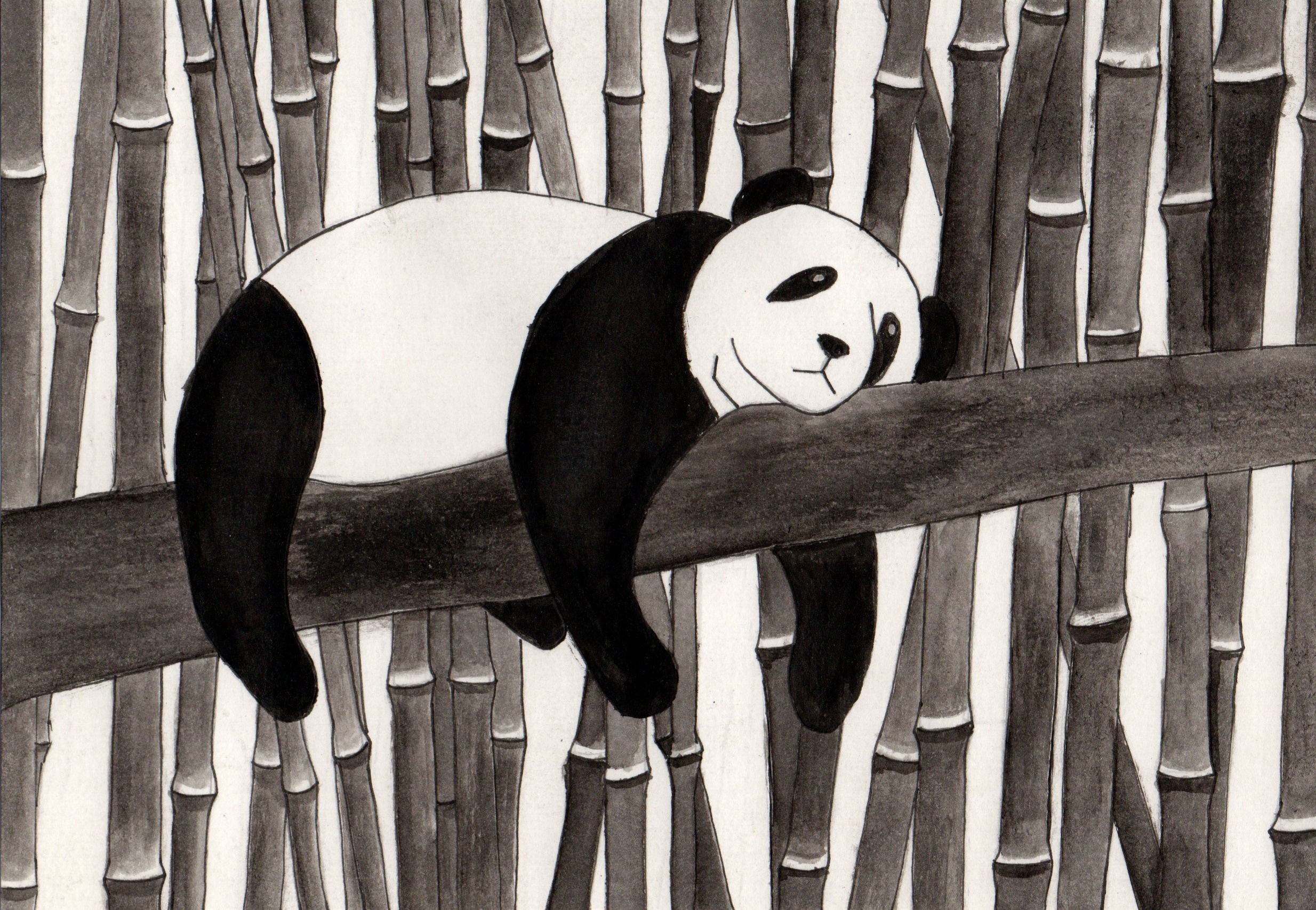 Panda par Sandmeier Christopher