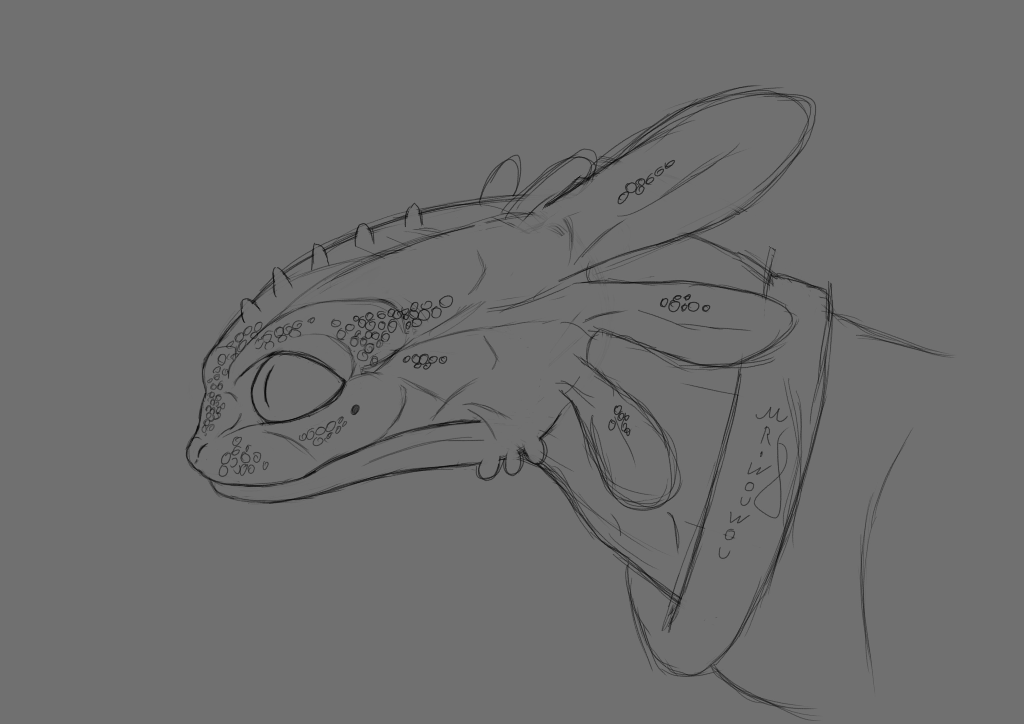 Toothless Sketchart par Mr.Wouwou