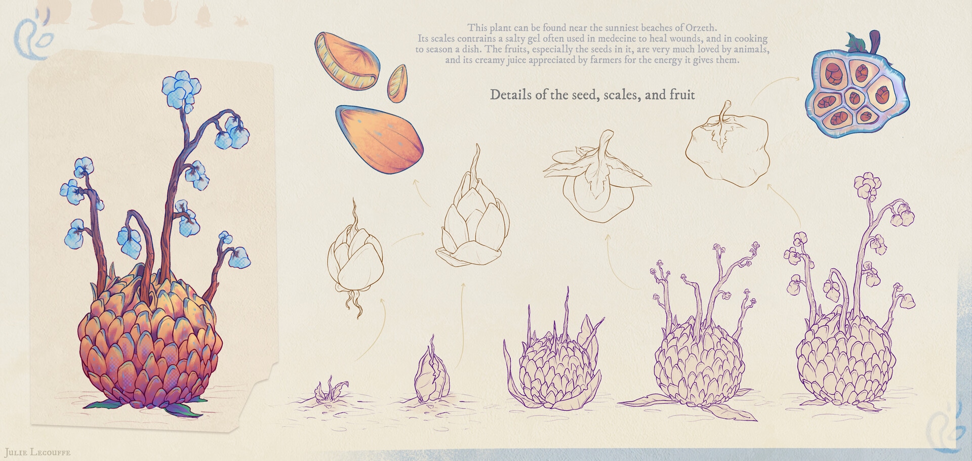 Plants concept - vol. 1 | PROJECT O par julie lohen lecouffe