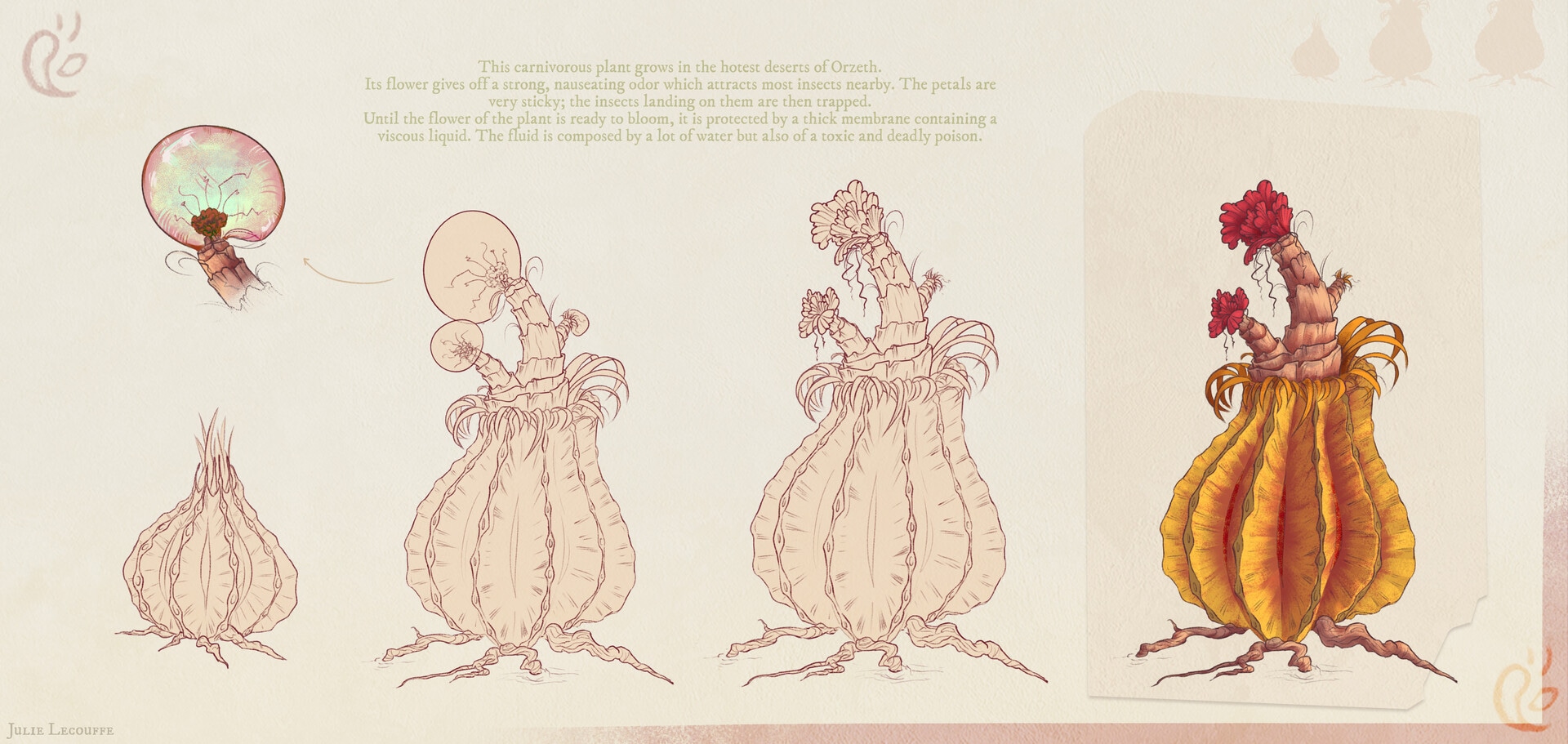 Plants concept - vol. 1 | PROJECT O par julie lohen lecouffe