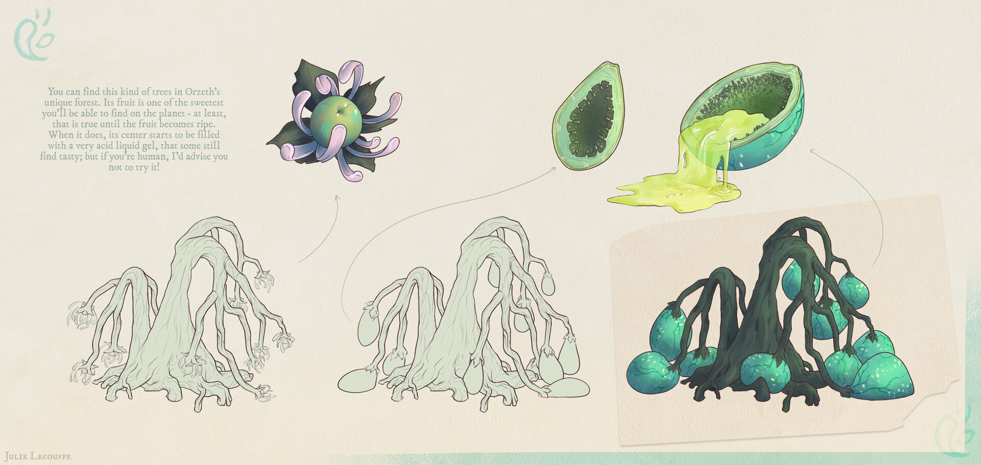 Plants concept - vol. 1 | PROJECT O par julie lohen lecouffe