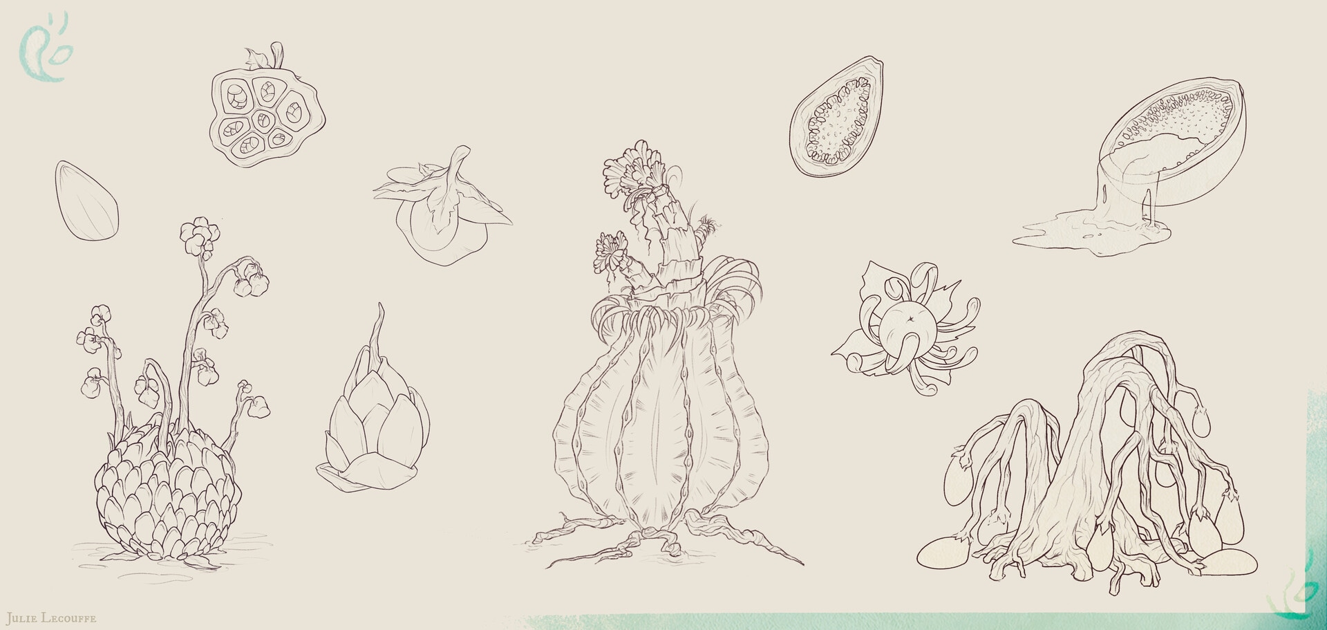 Plants concept - vol. 1 | PROJECT O par julie lohen lecouffe