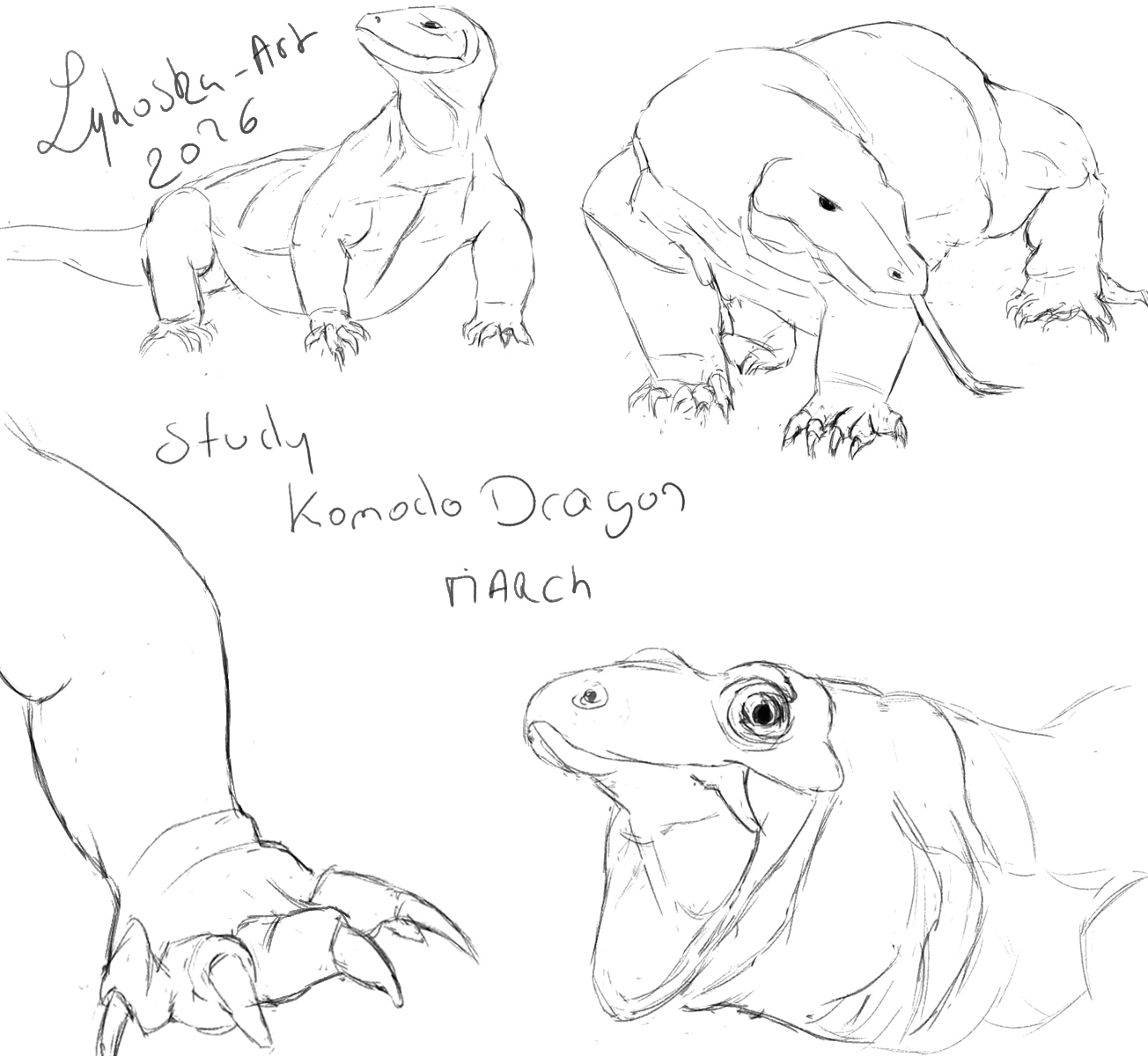 Exo mensuel du mois de mars 2026 par lykoska